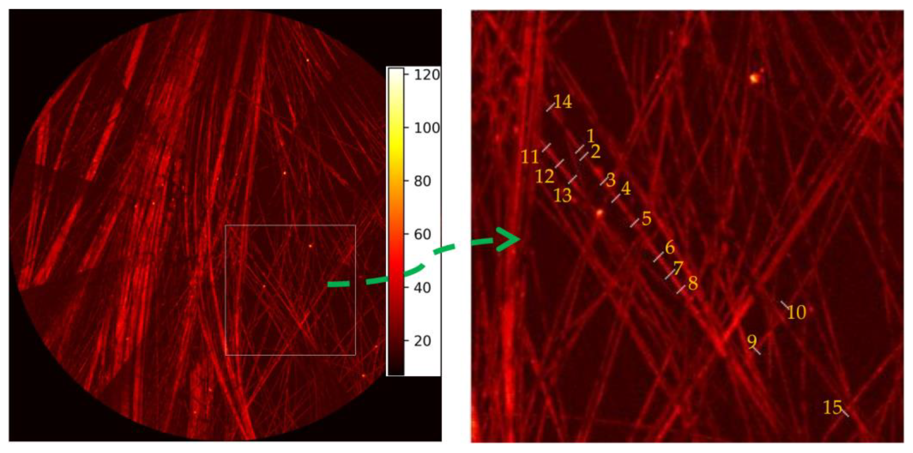 Electronics 13 00693 g010
