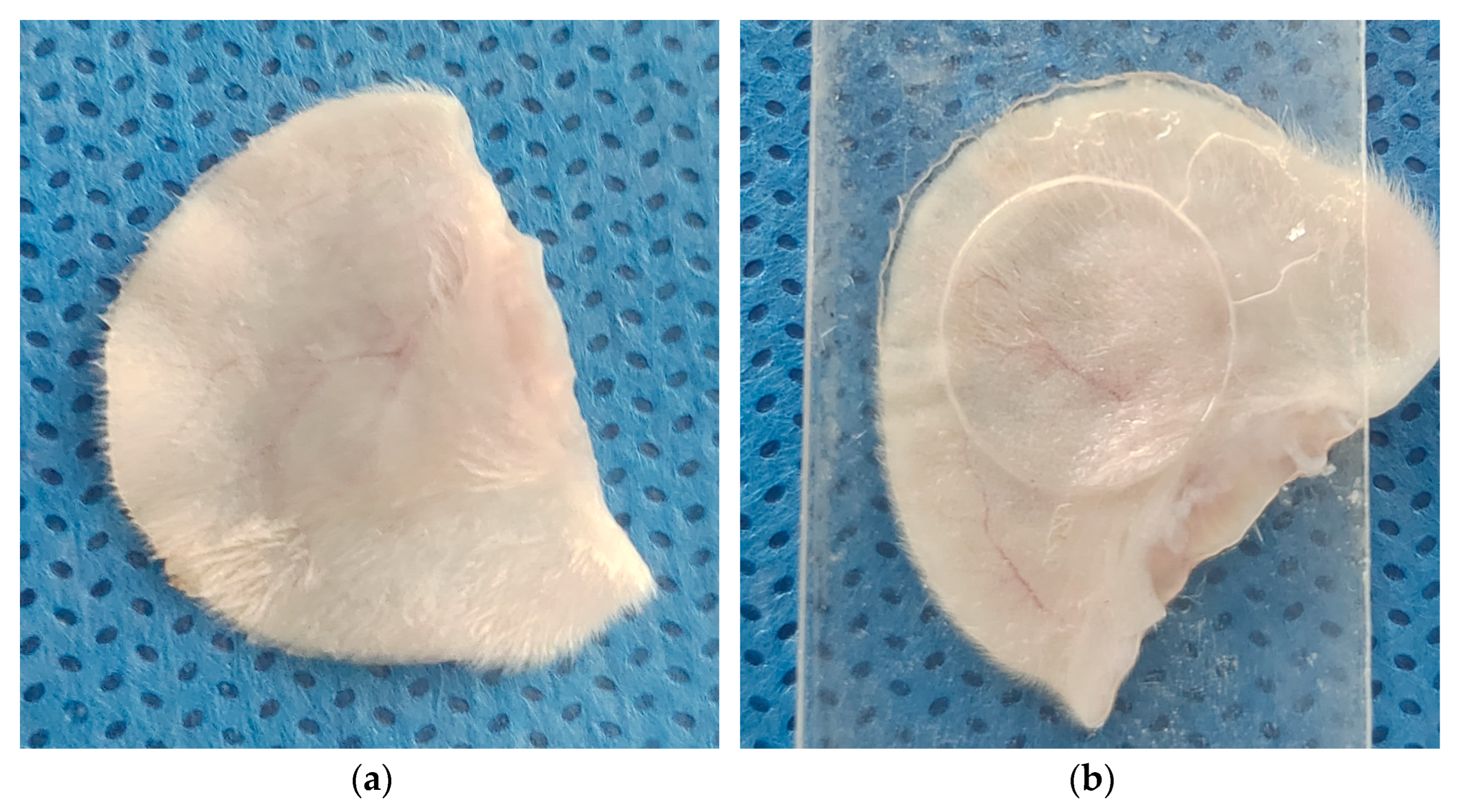 Electronics 13 00693 g011
