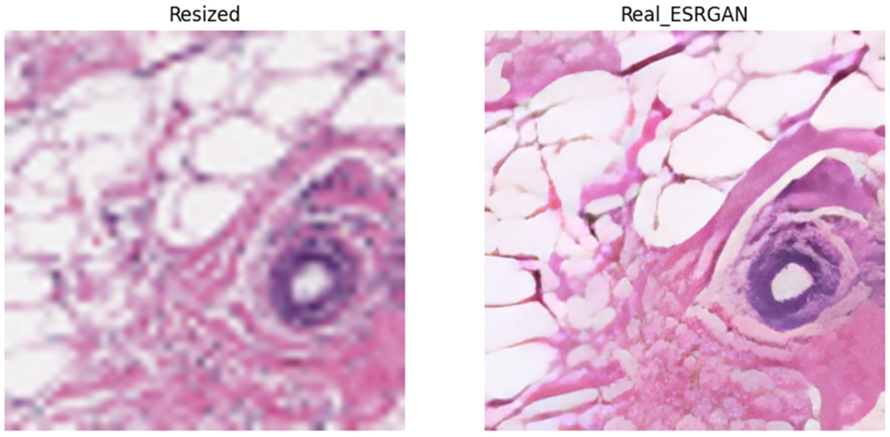 Electronics 13 00713 g009