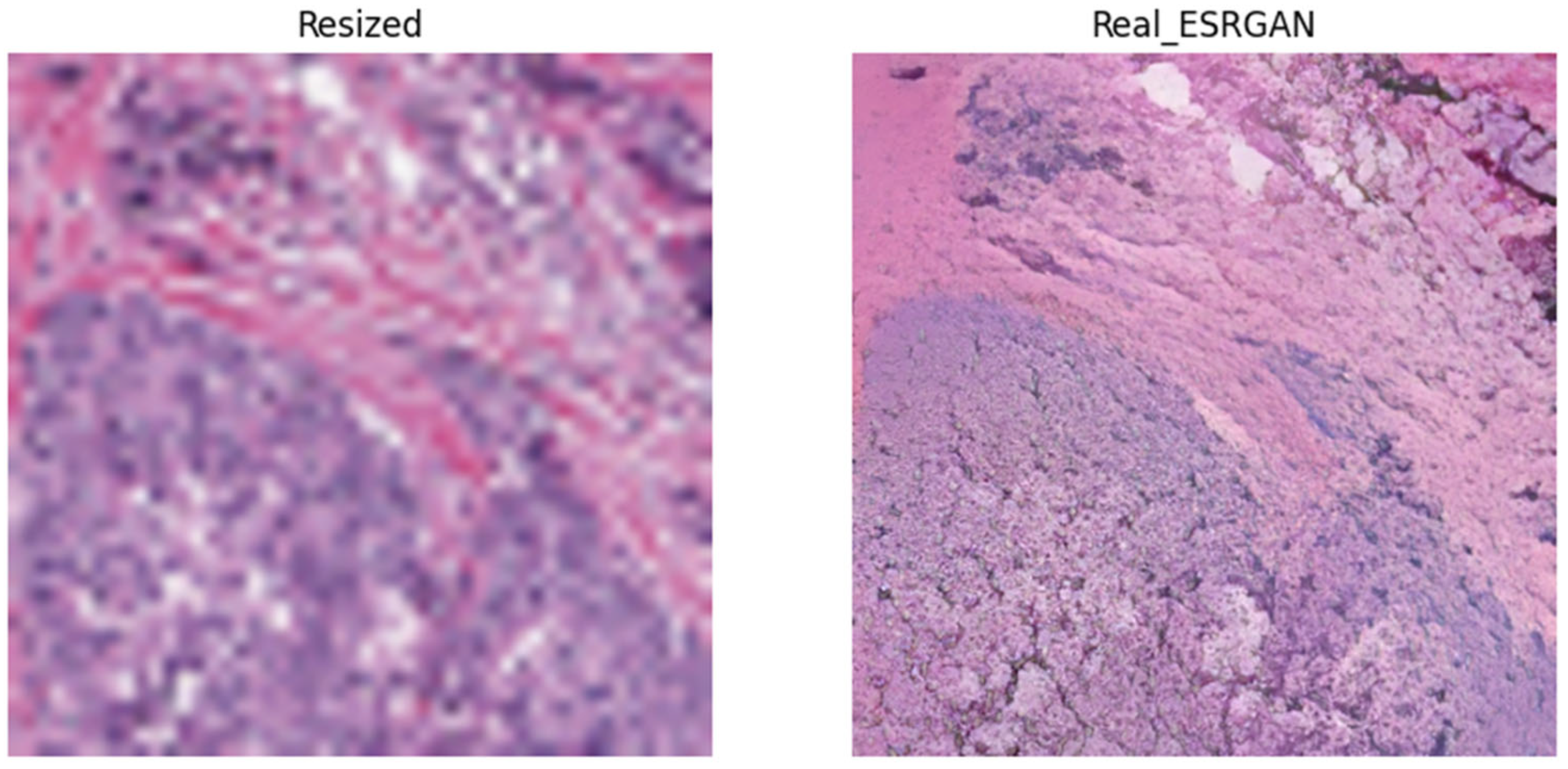 Electronics 13 00713 g010