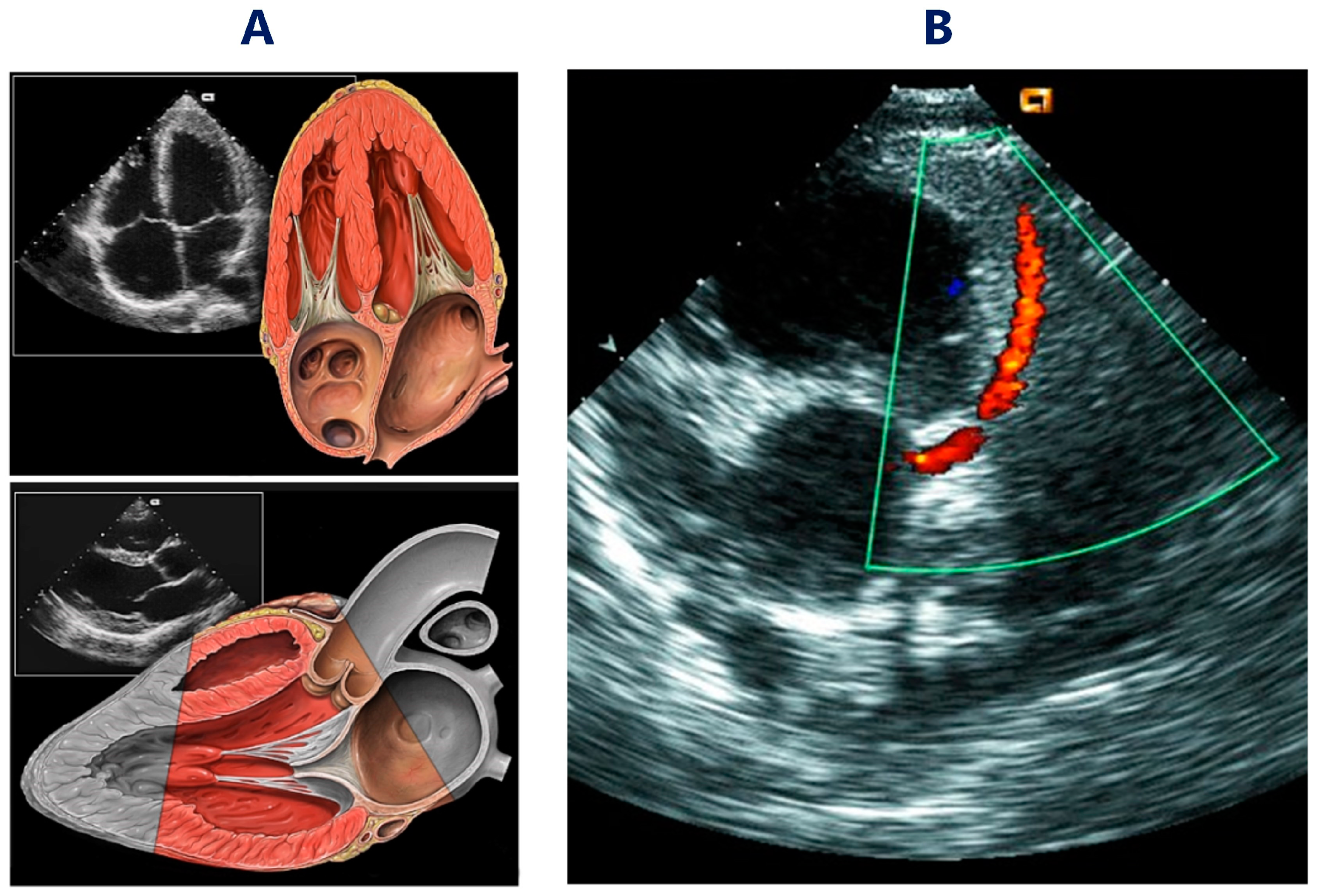 Electronics 13 00736 g001
