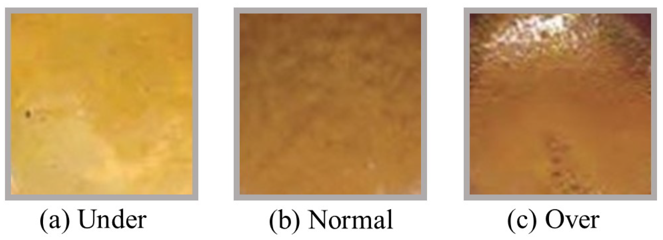 Electronics 13 00800 g001