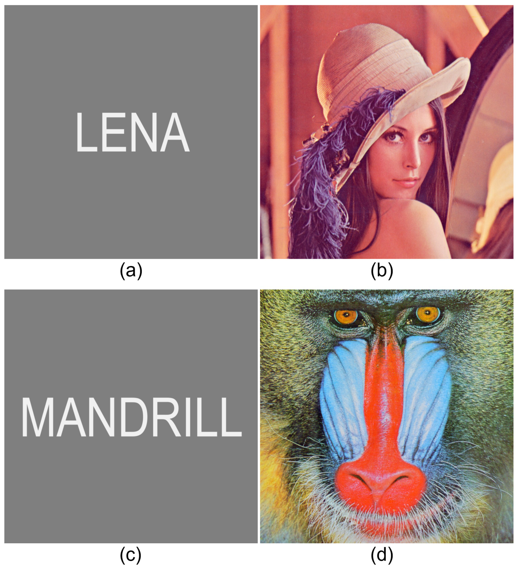 Electronics 13 00823 g016