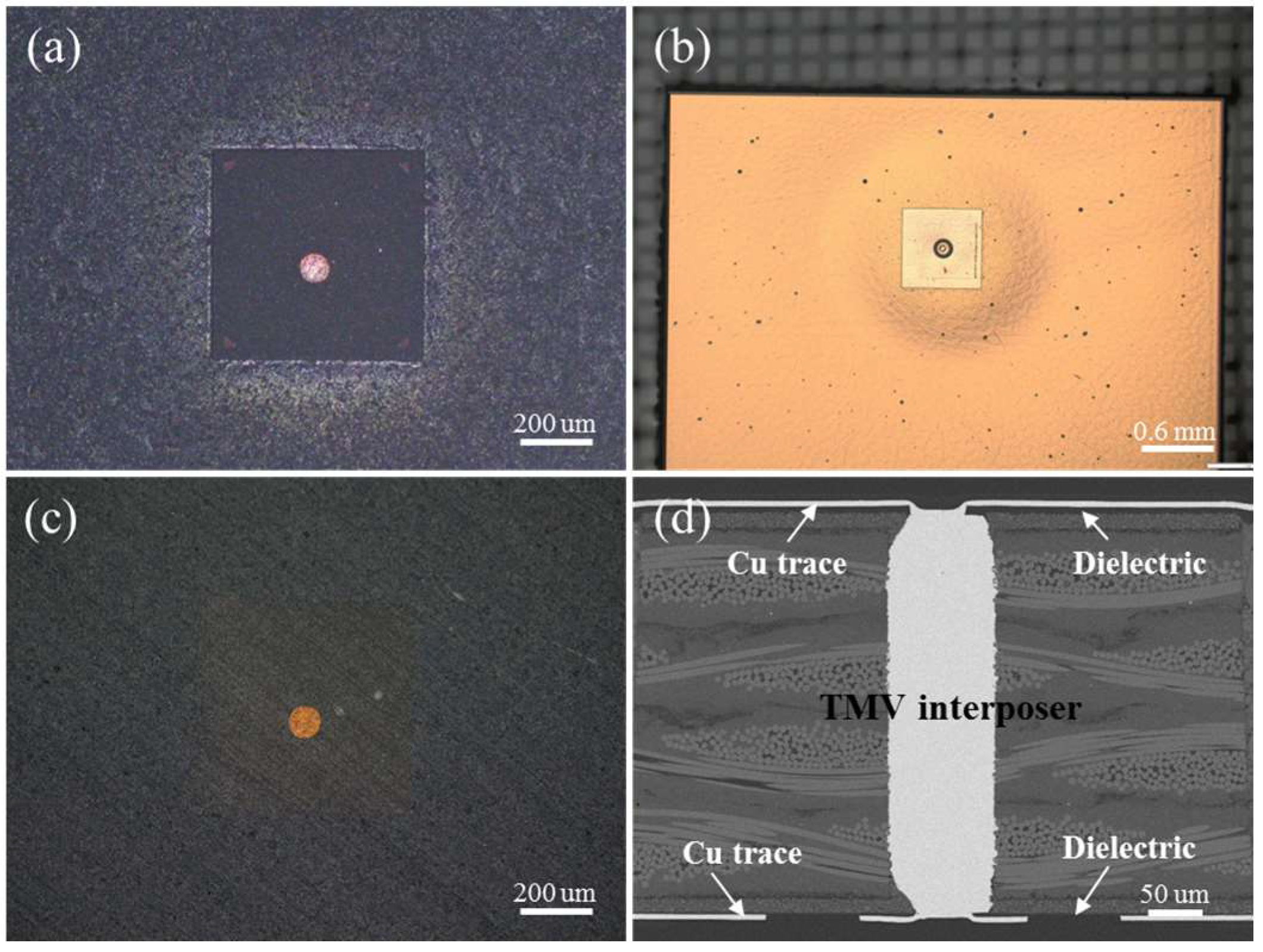 Electronics 13 00839 g003