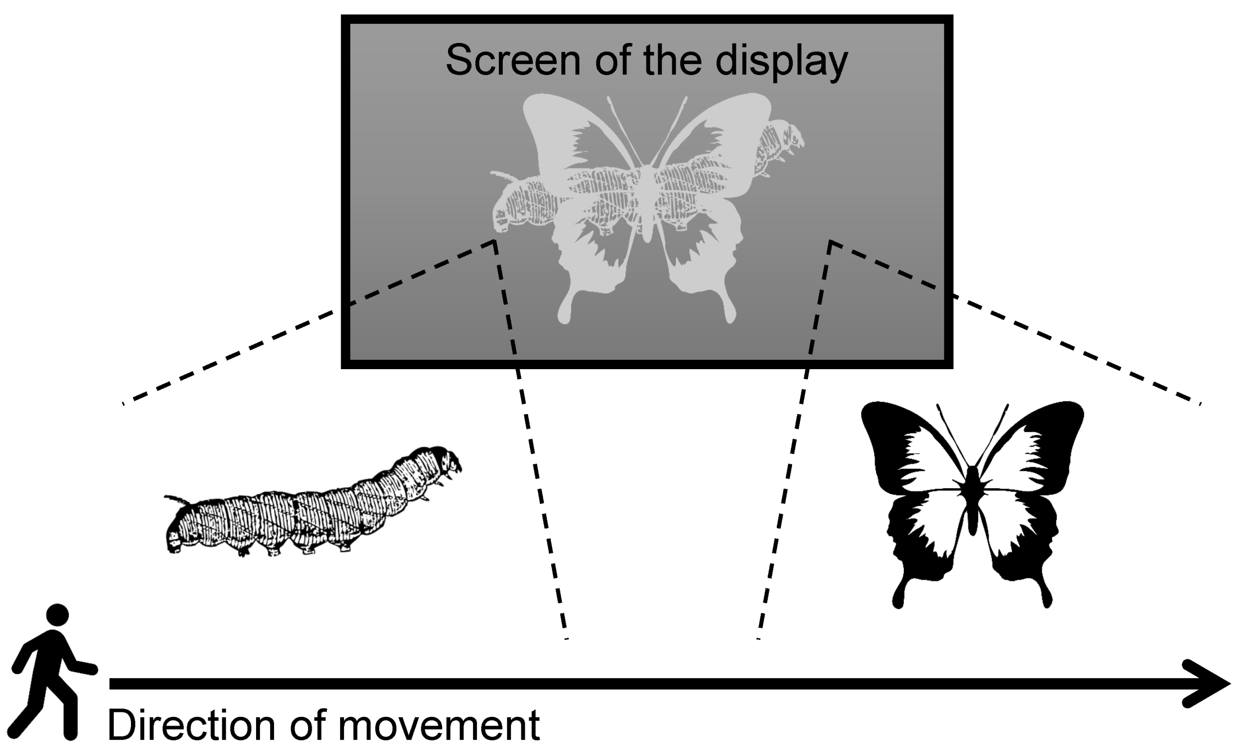 Electronics 13 00876 g009