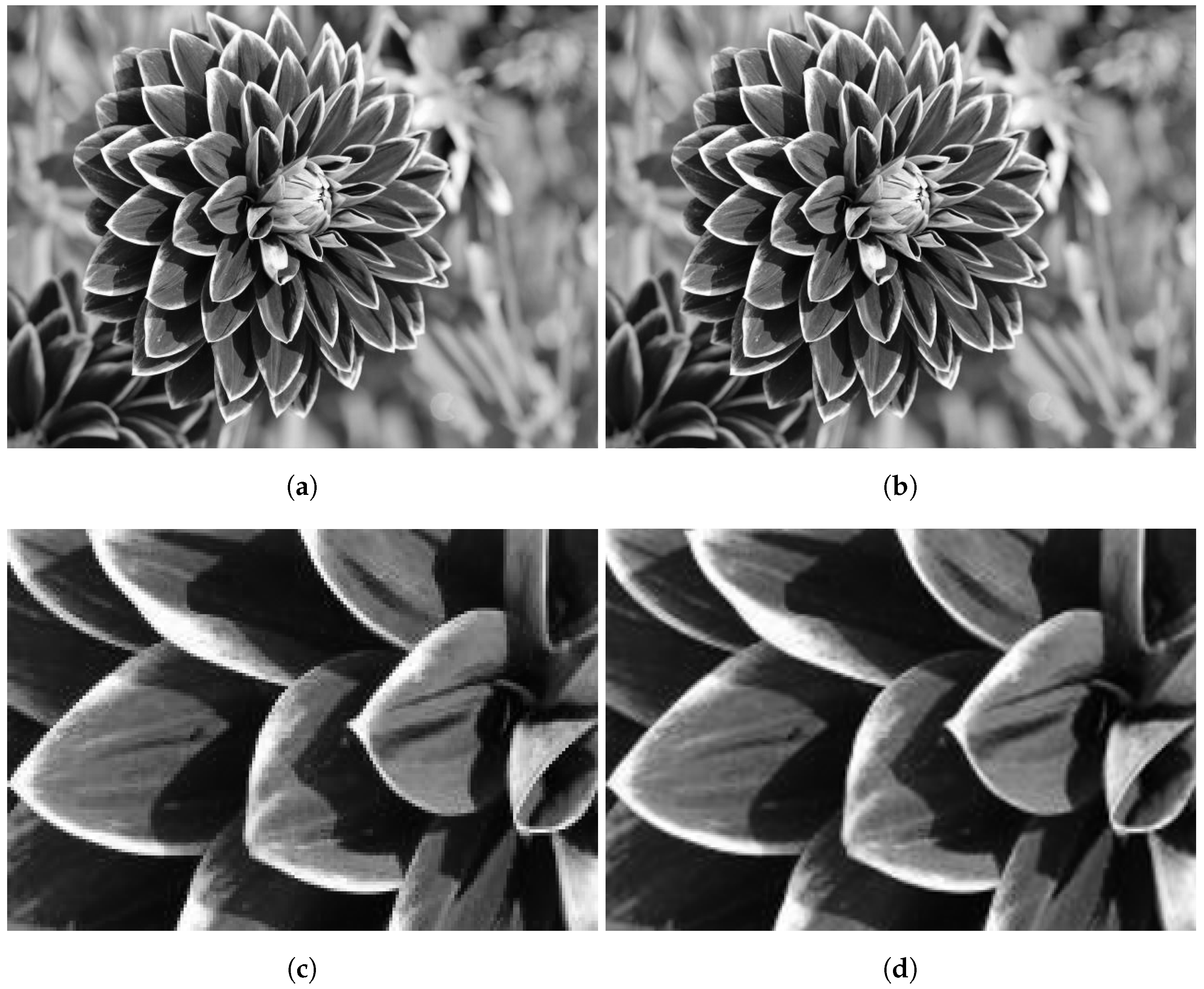 Electronics 13 00922 g019