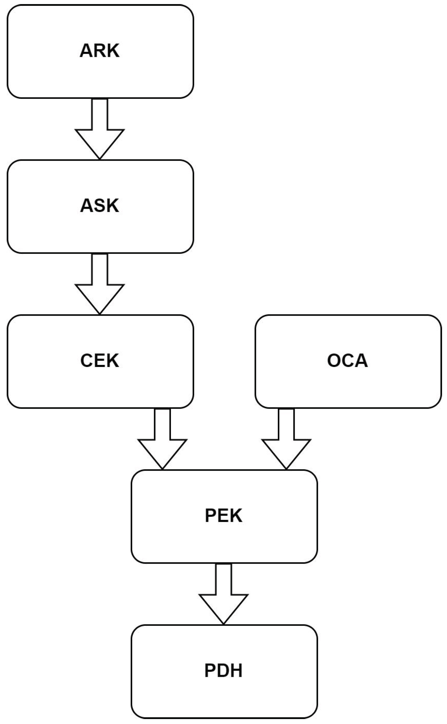 Electronics 13 00991 g005