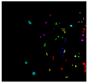 Electronics 13 01061 i021