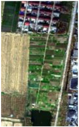 Electronics 13 01061 i035