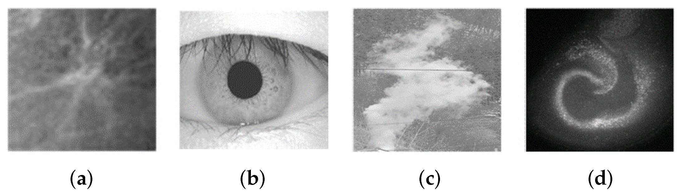 Electronics 13 01088 g001