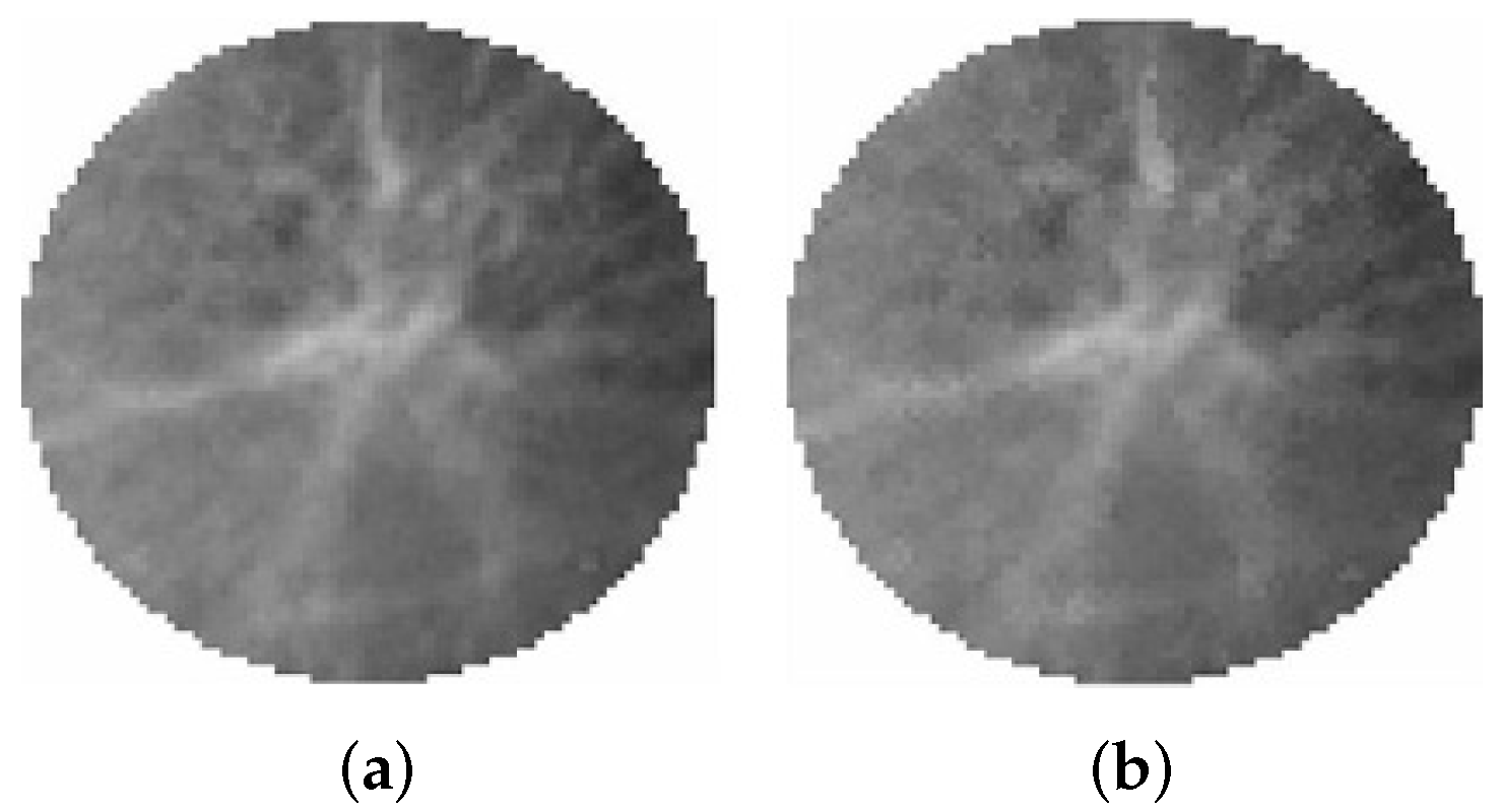 Electronics 13 01088 g003