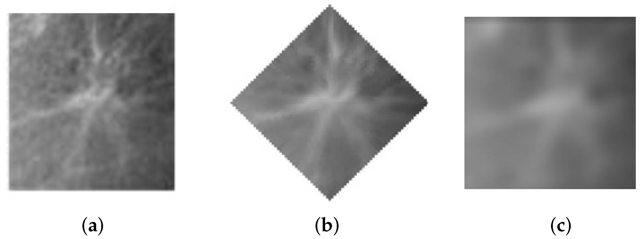 Electronics 13 01088 g009