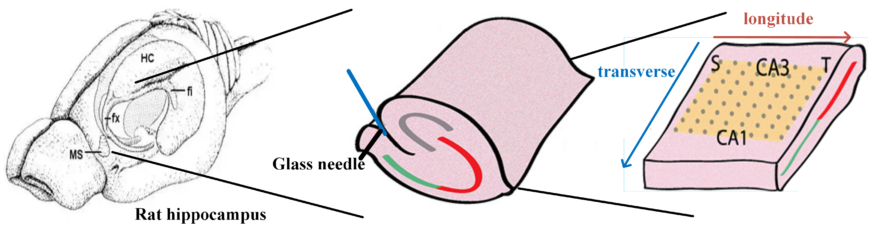 Electronics 13 01130 g001