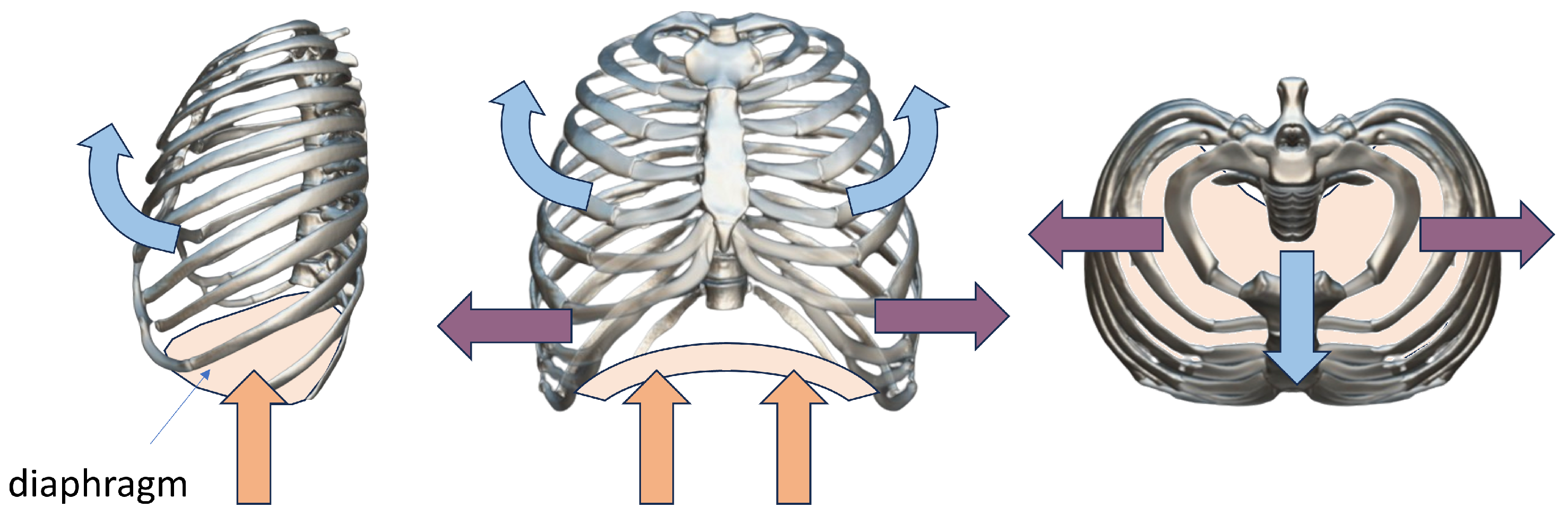 Electronics 13 01132 g001