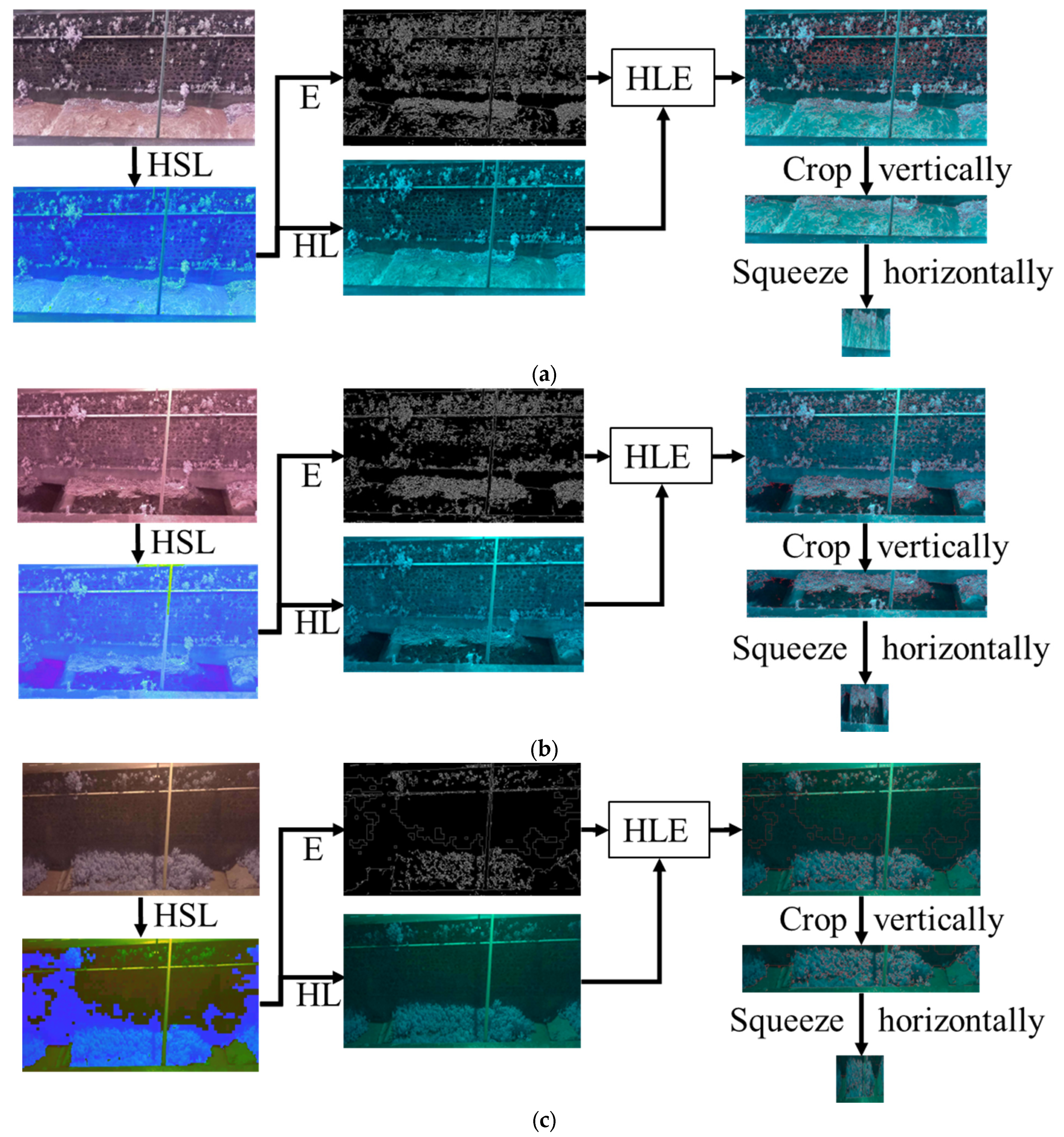 Electronics 13 01145 g005