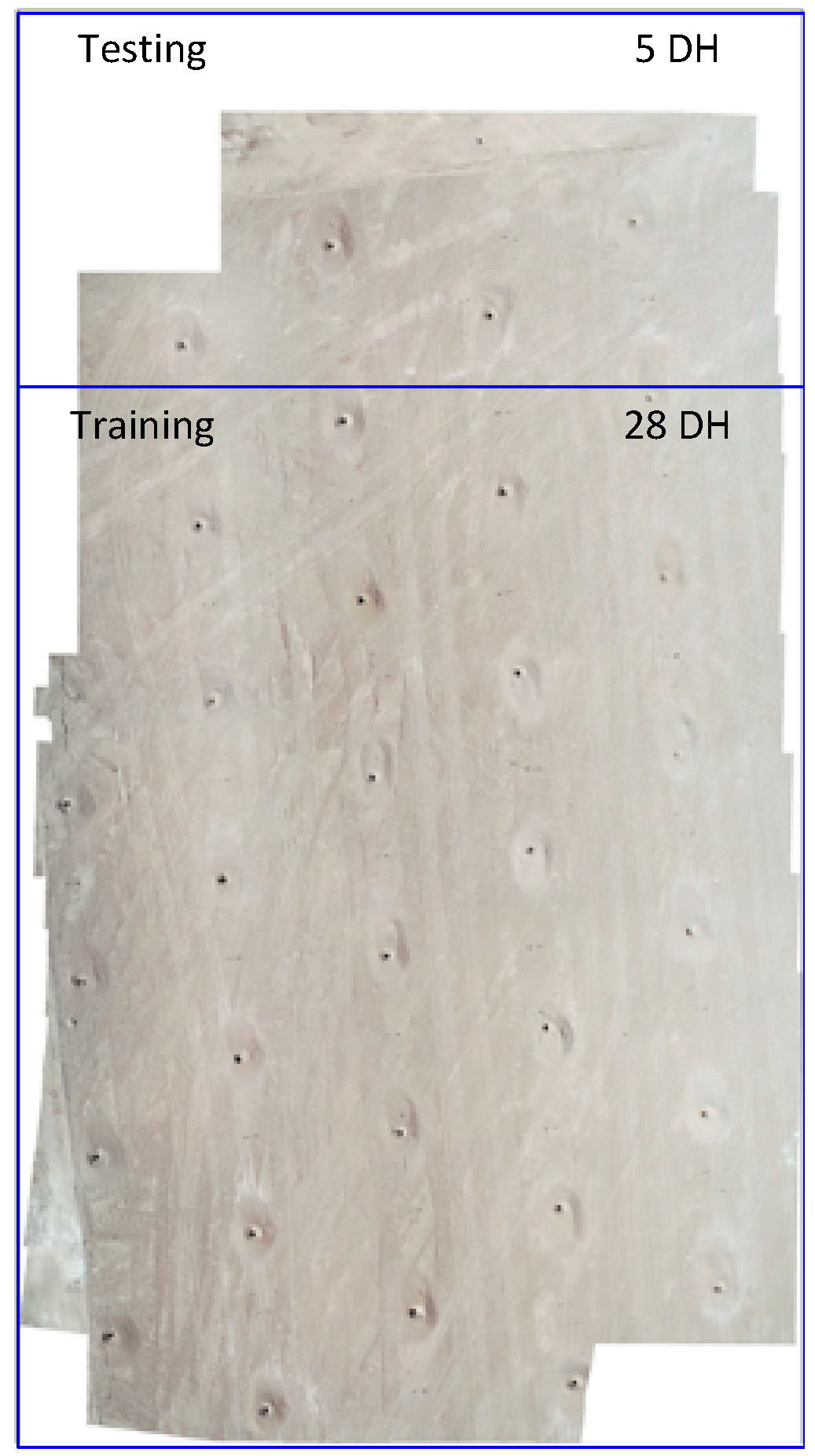 Electronics 13 01291 g010