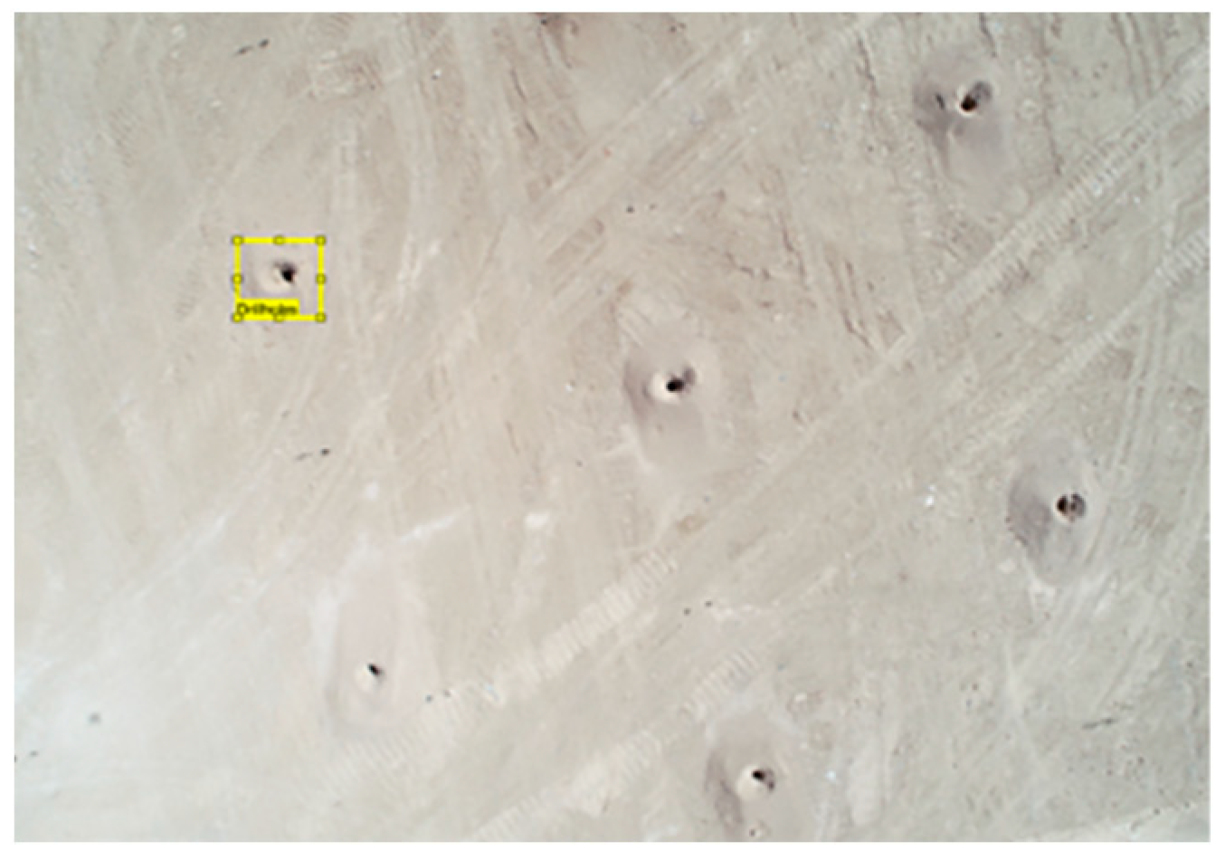 Electronics 13 01291 g011