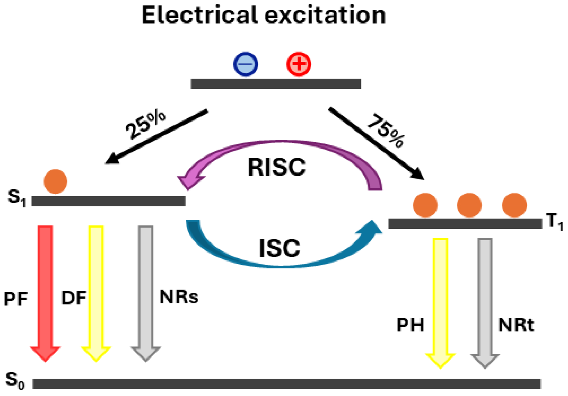 Electronics 13 01299 g005