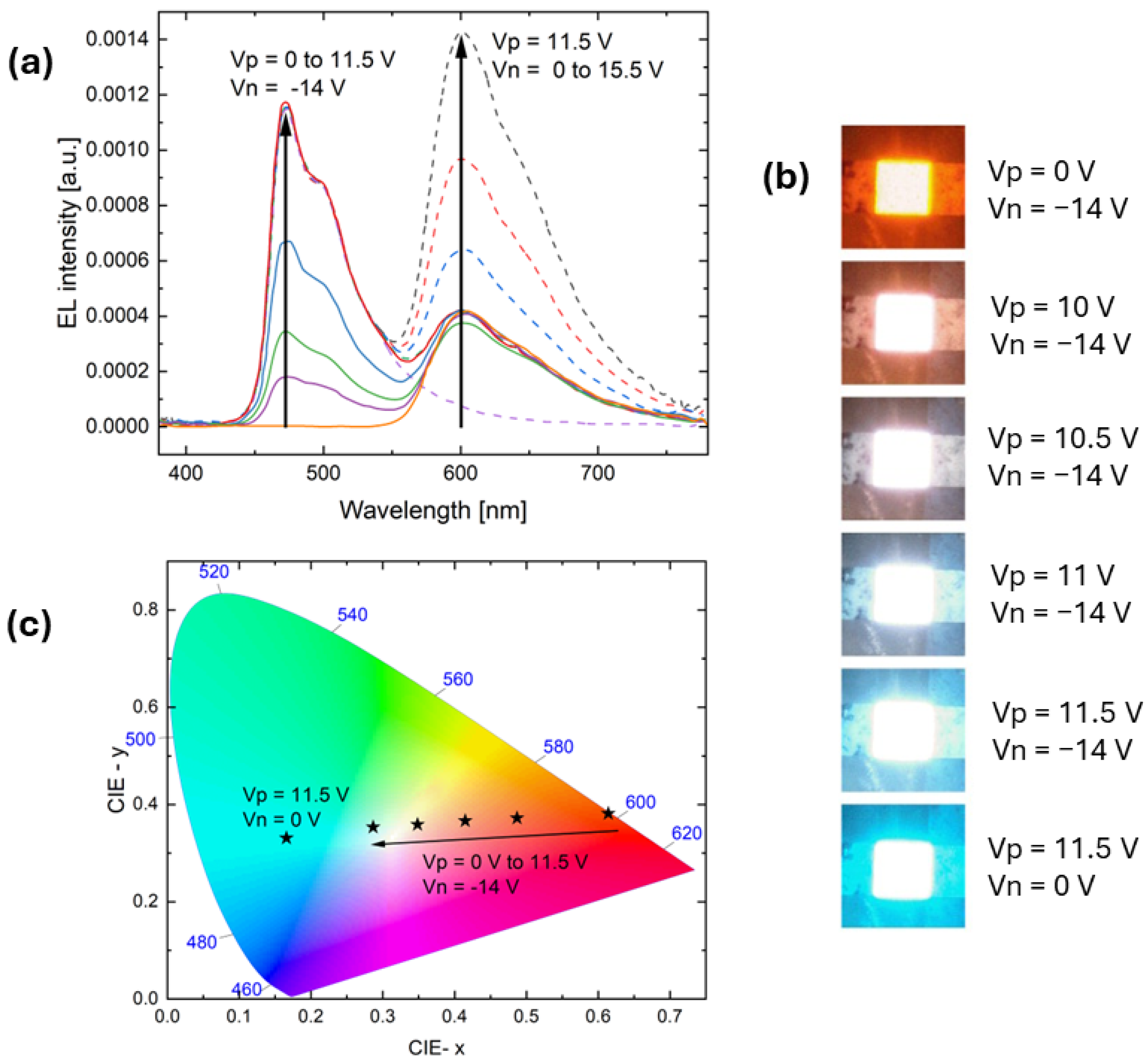 Electronics 13 01299 g007