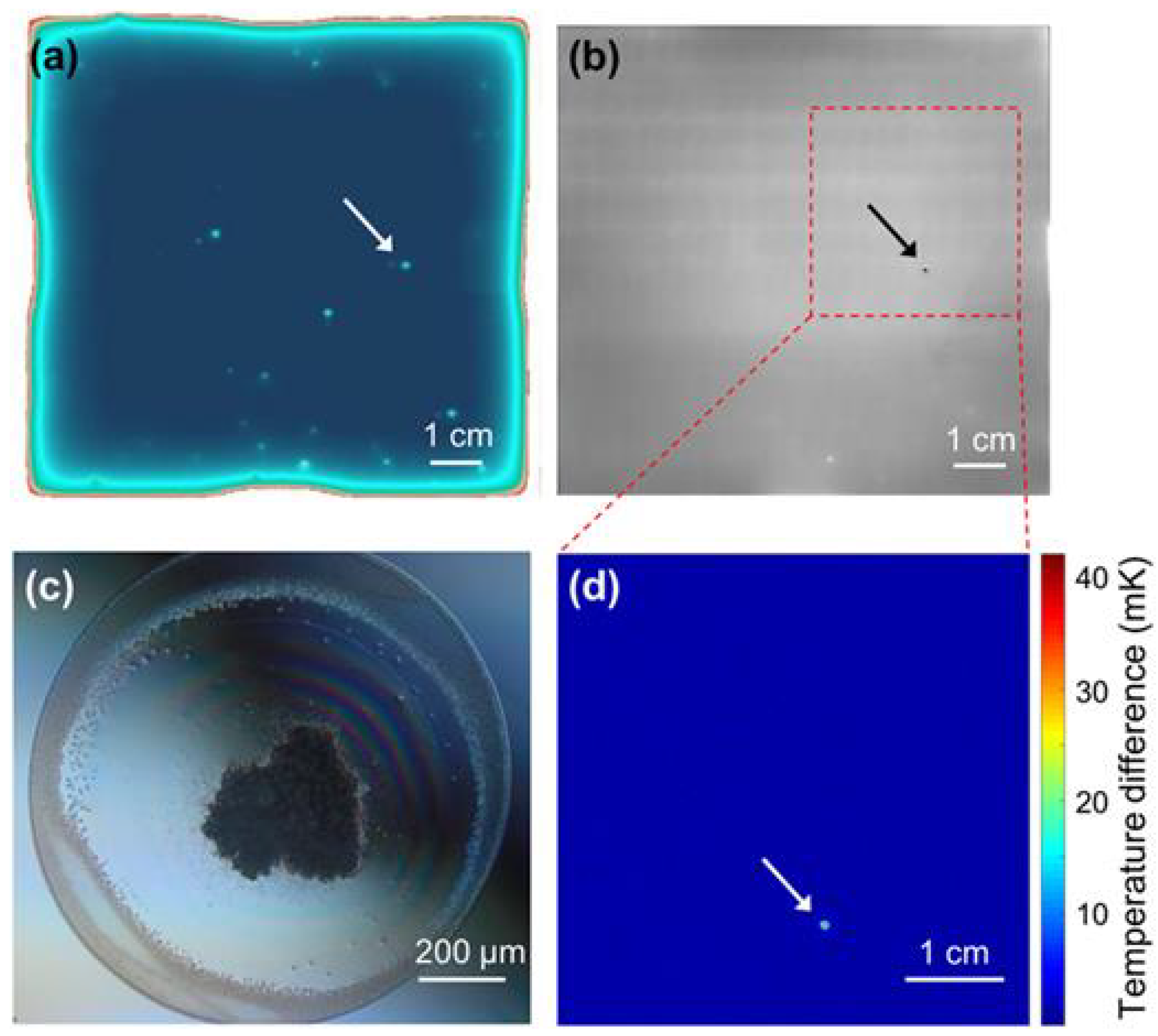 Electronics 13 01299 g020