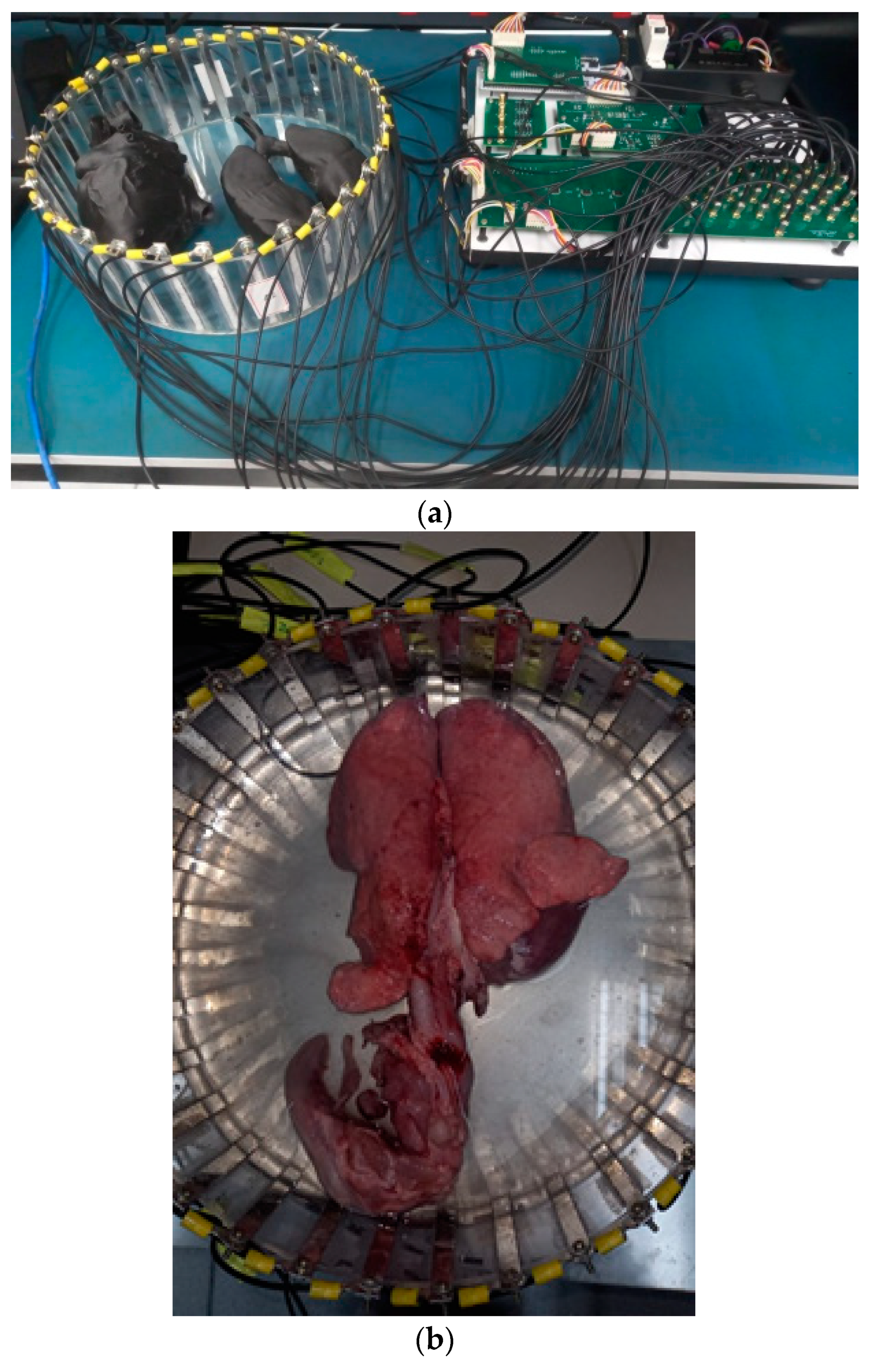 Electronics 13 01463 g002