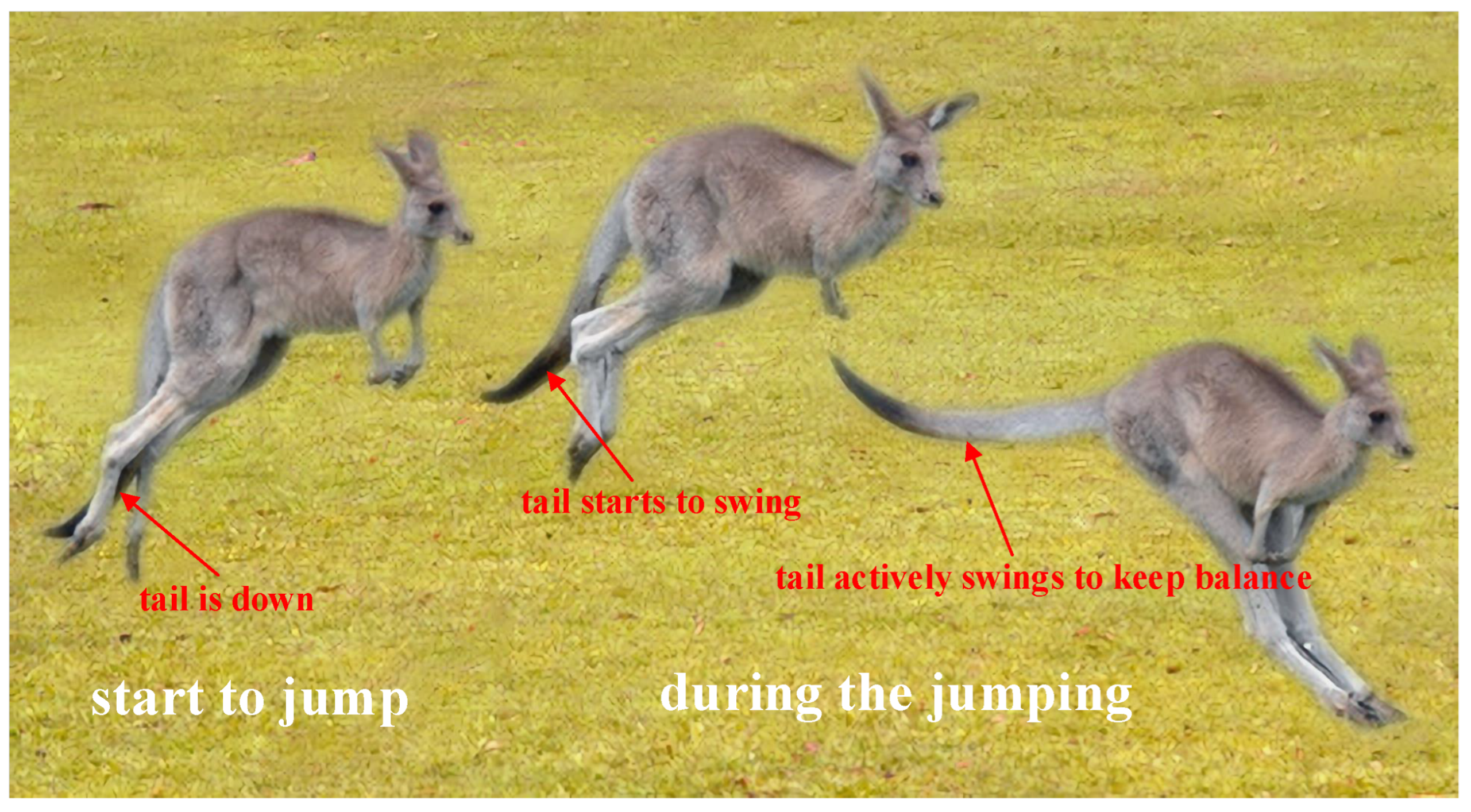 Electronics 13 01477 g001