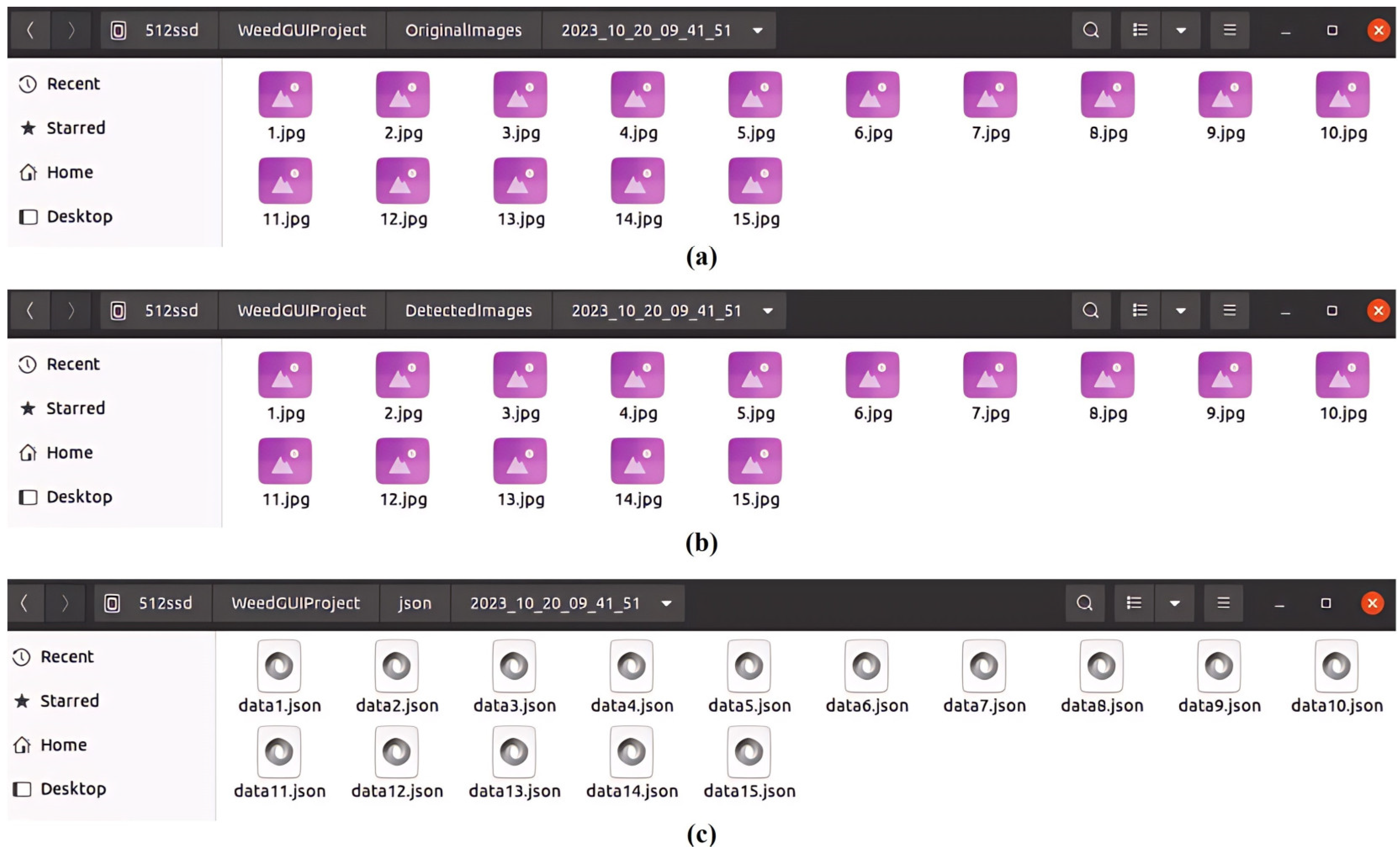 Electronics 13 01699 g006