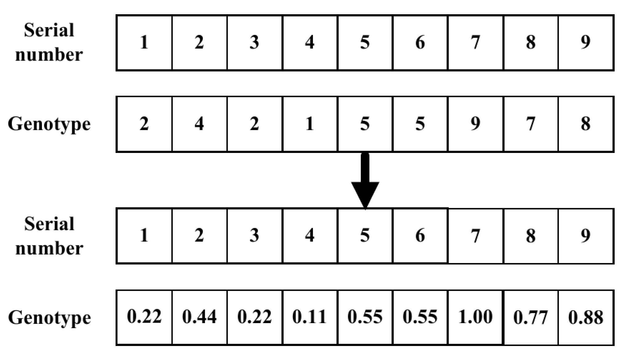 Electronics 13 01987 g002