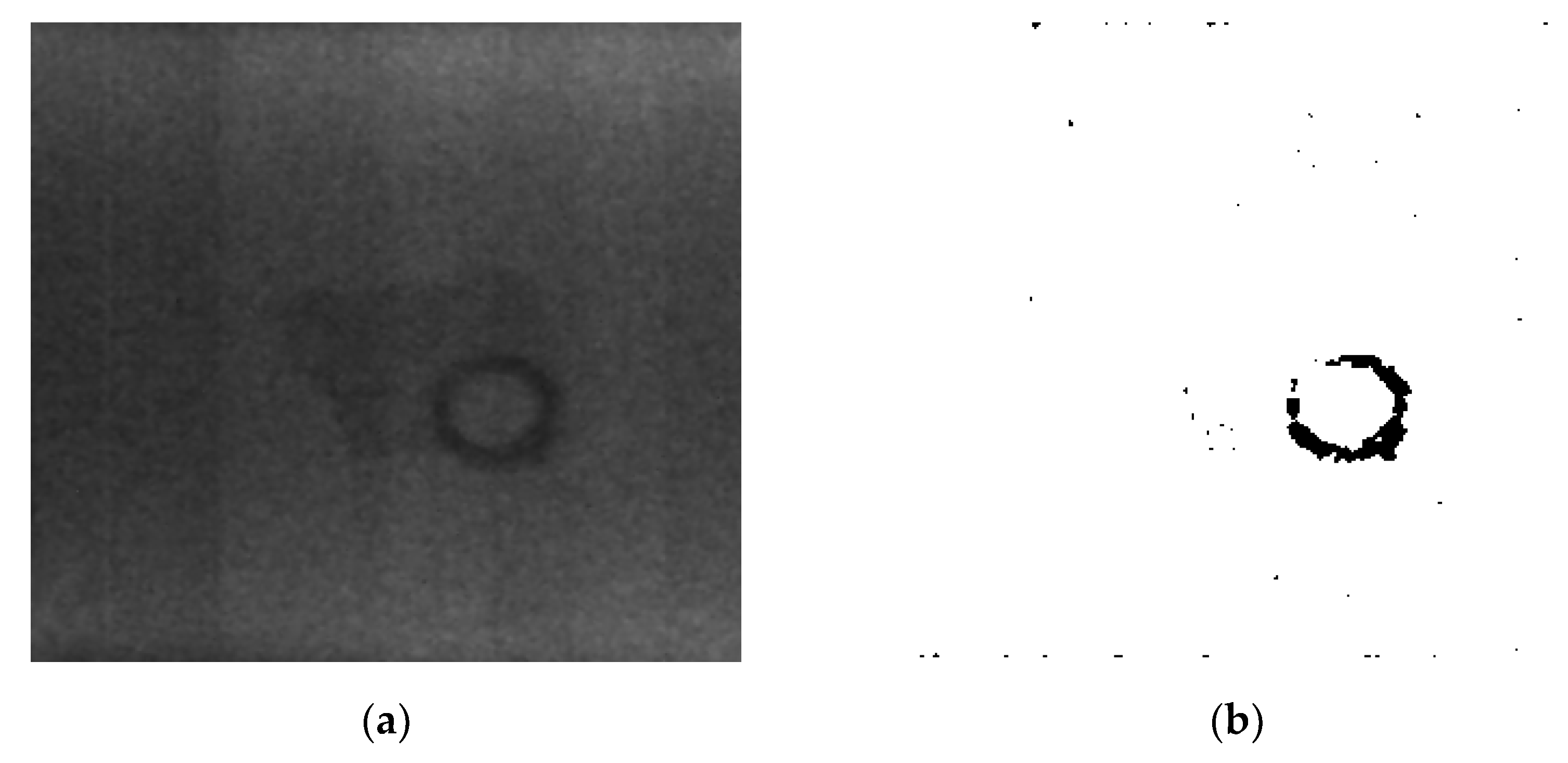 Electronics 13 02049 g010