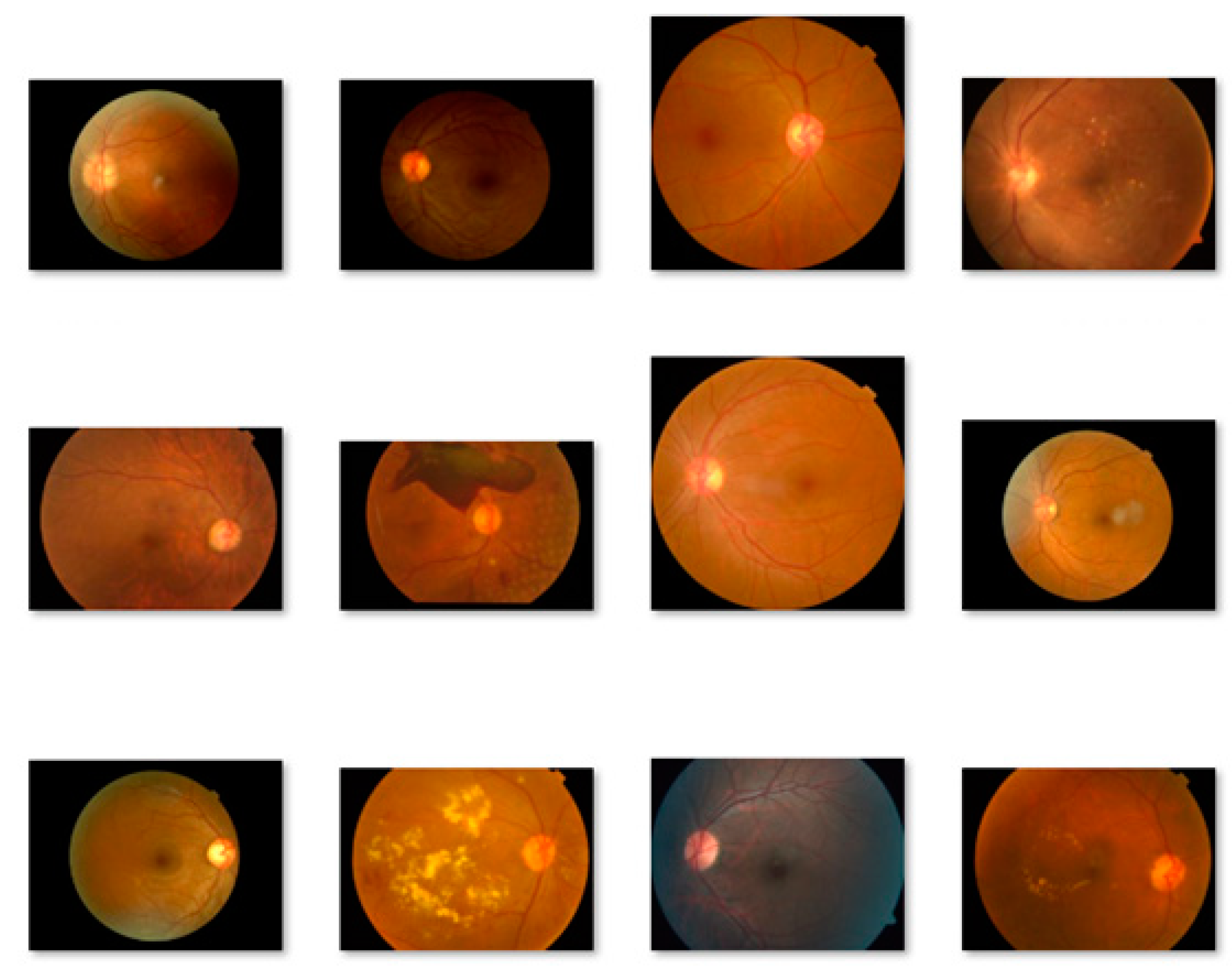 Electronics 13 02070 g003