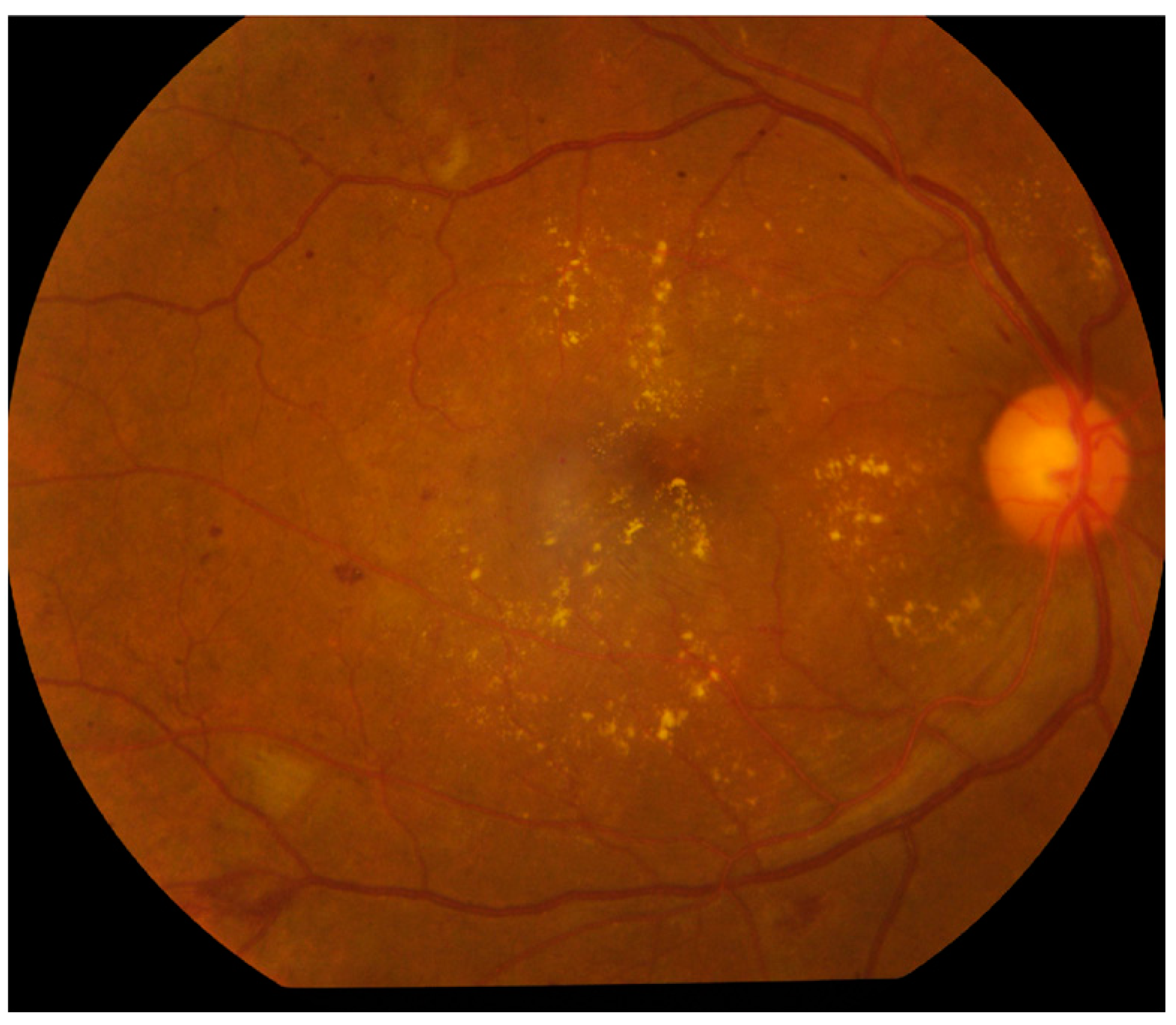 Electronics 13 02070 g005