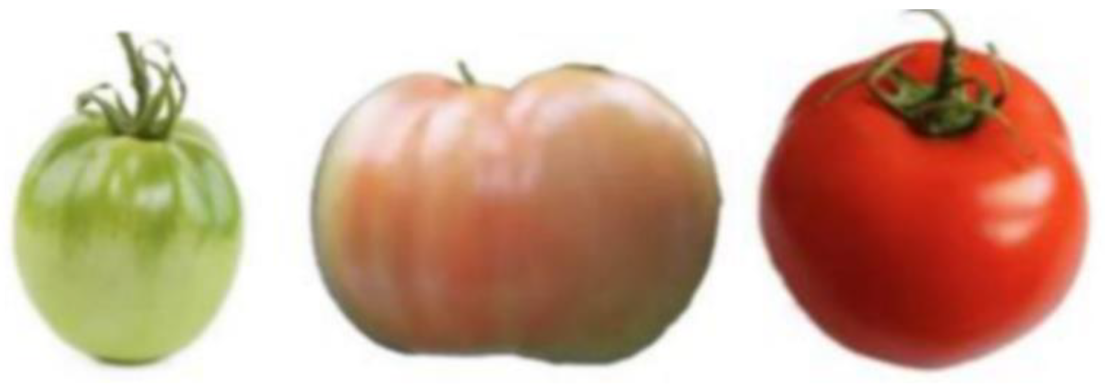 Electronics 13 02114 g010