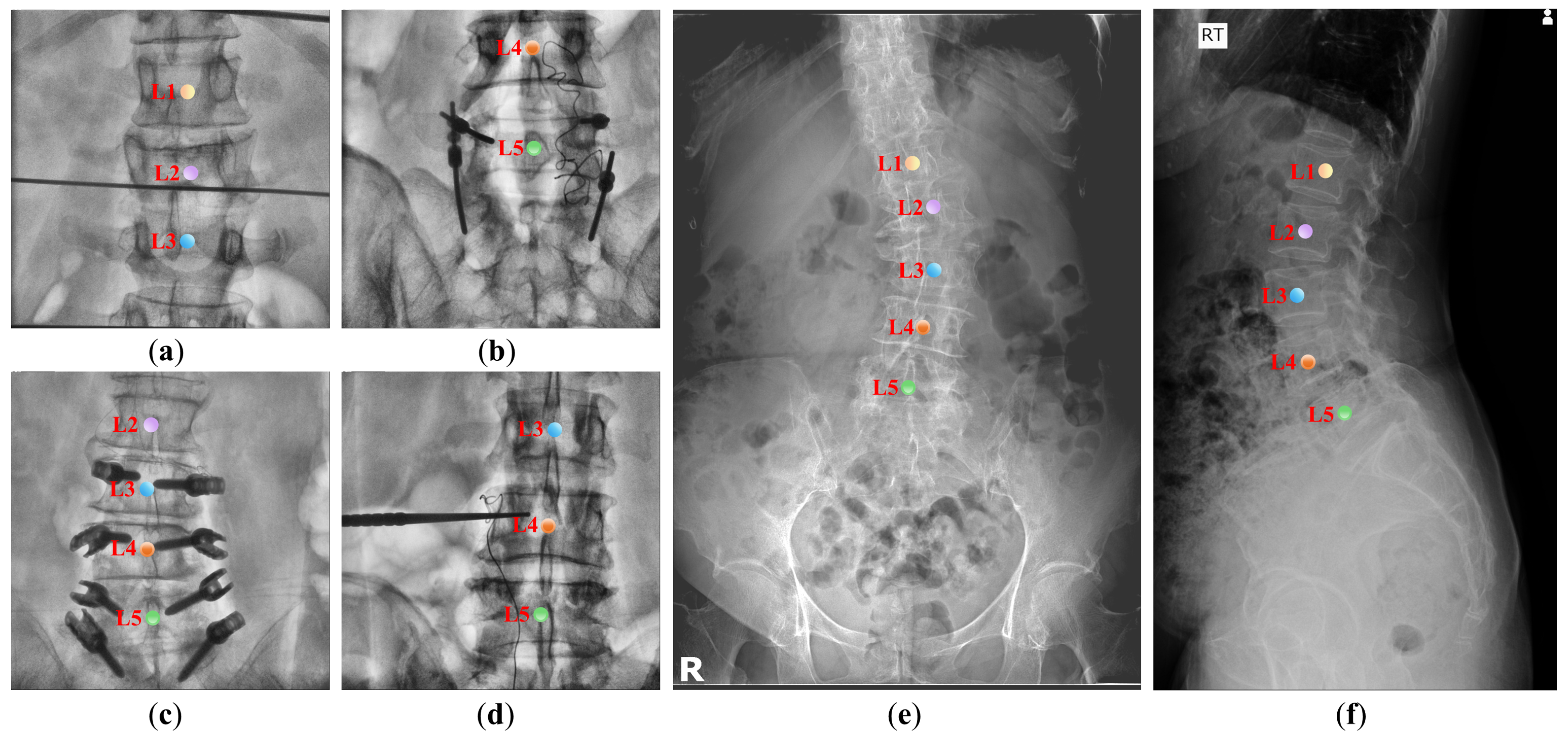 Electronics 13 02137 g001