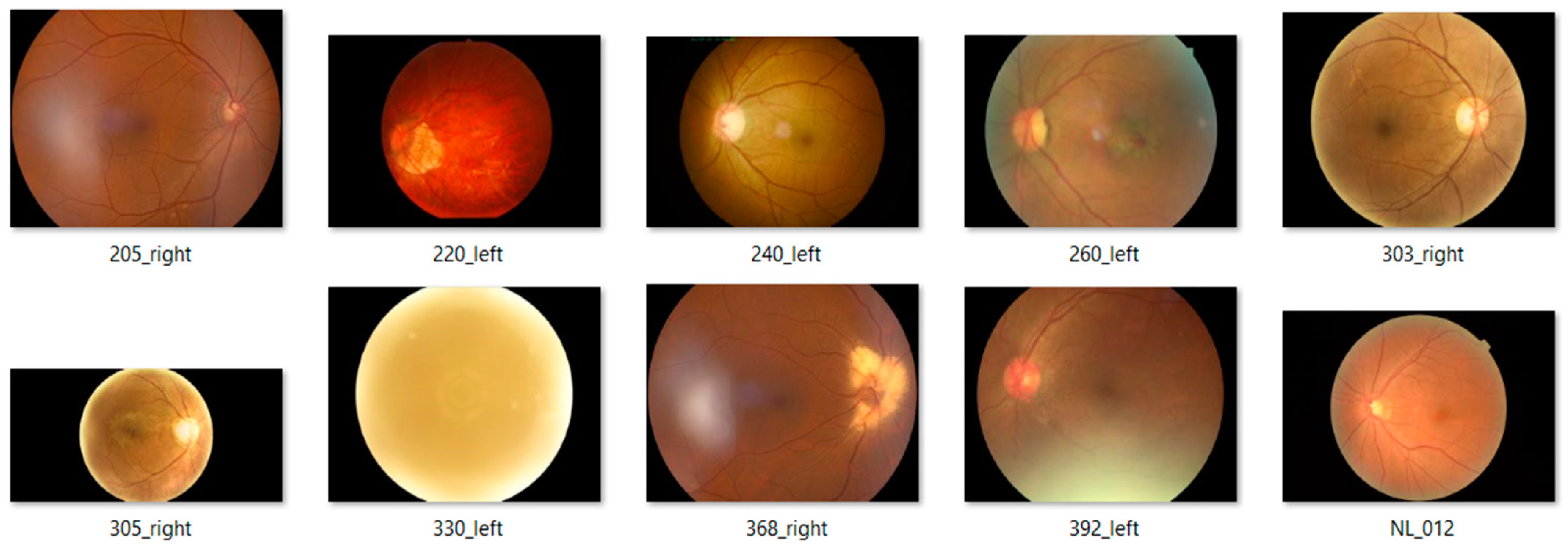 Electronics 13 02344 g002