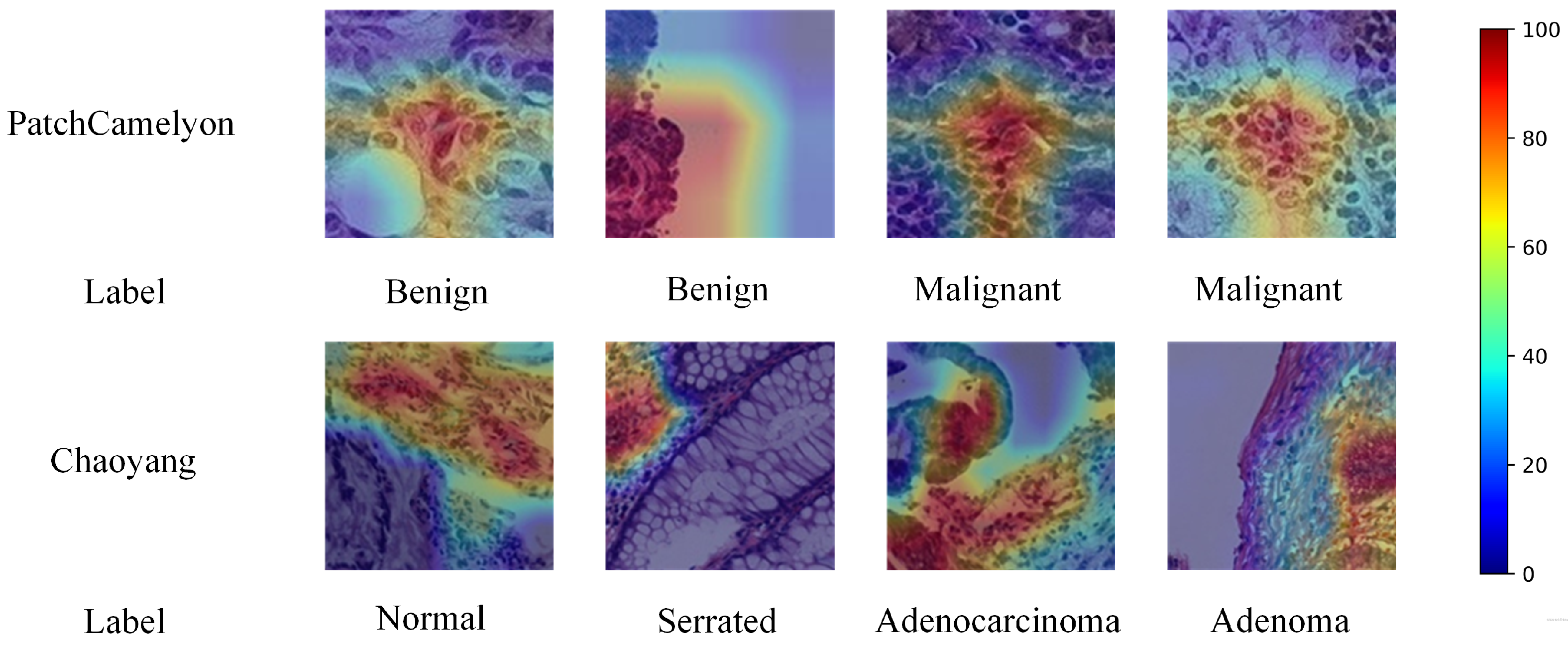 Electronics 13 02456 g005