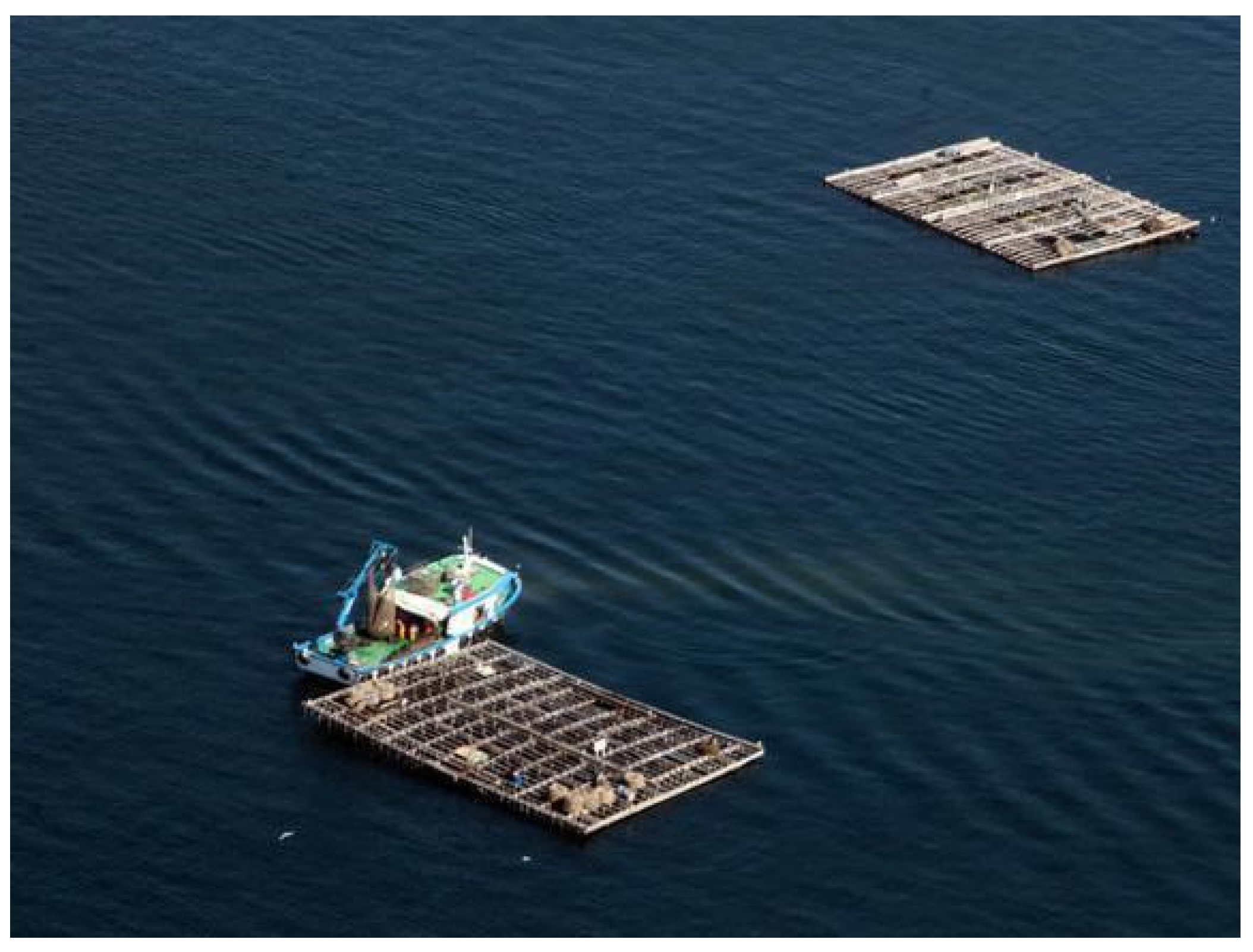 Electronics 13 02782 g002