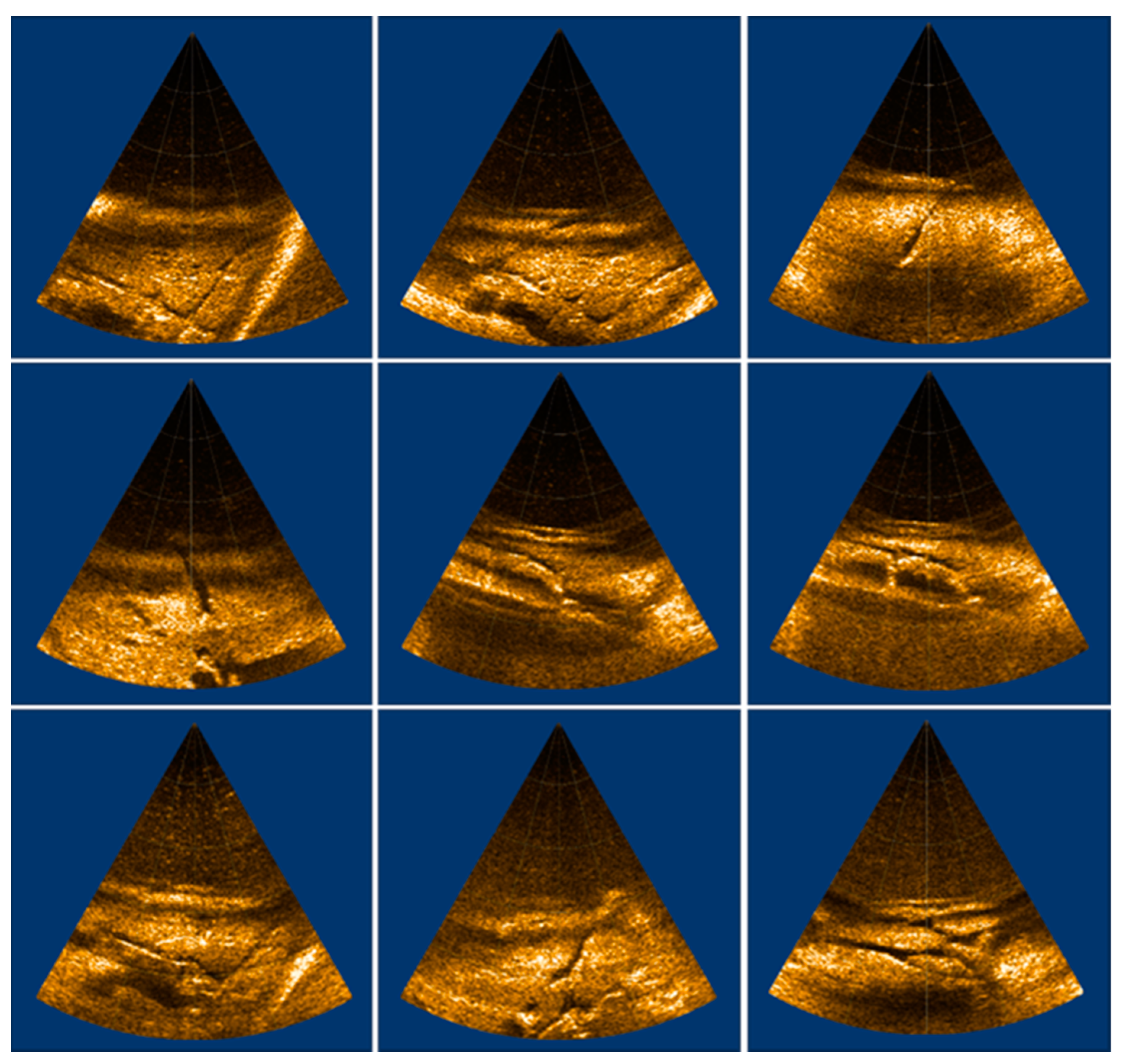 Electronics 13 02841 g009