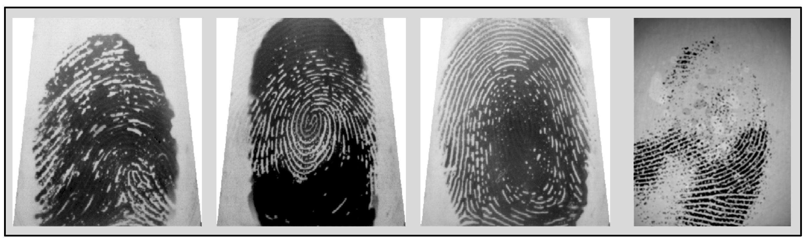 Electronics 13 02873 g004