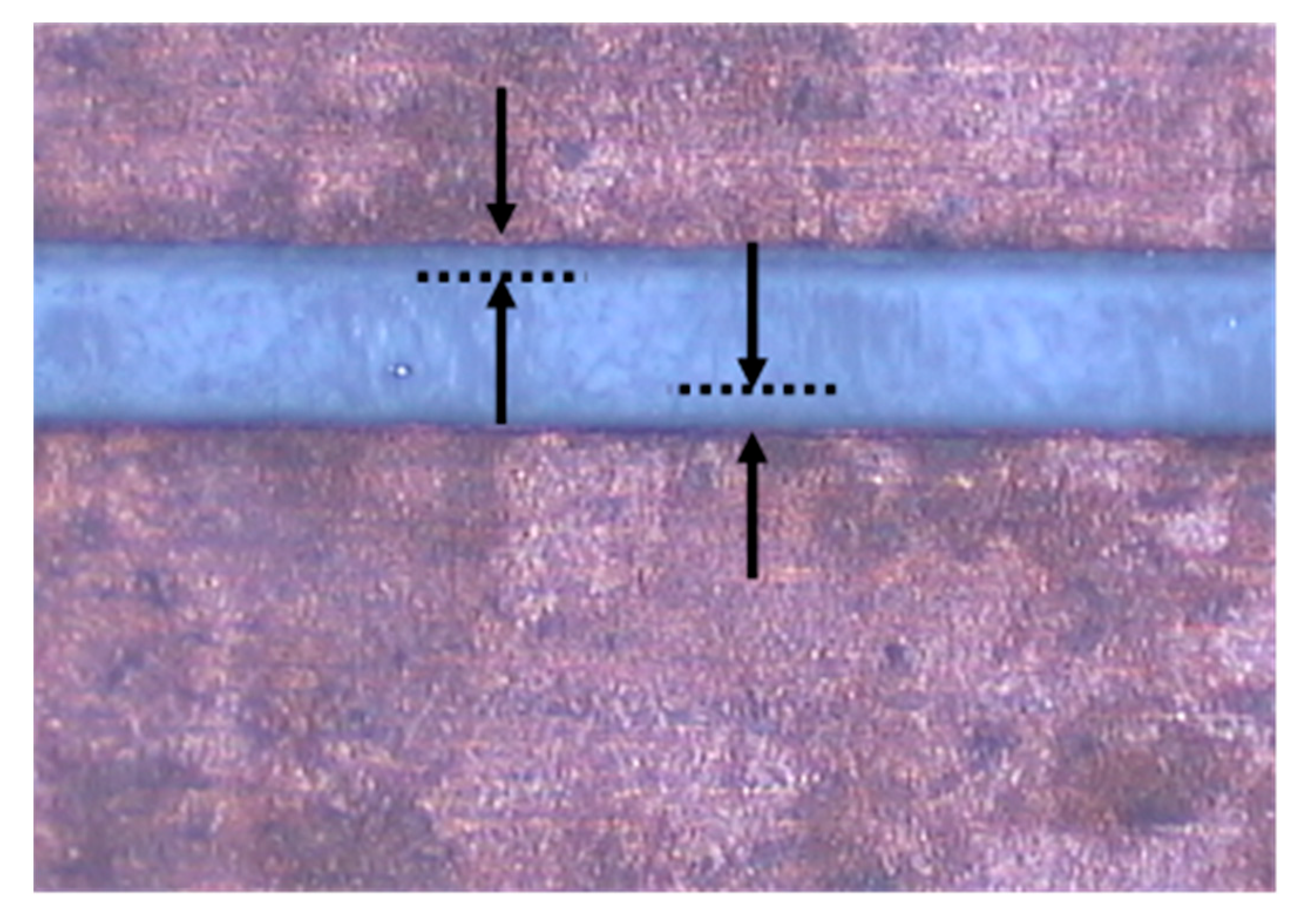 Electronics 13 03100 g003