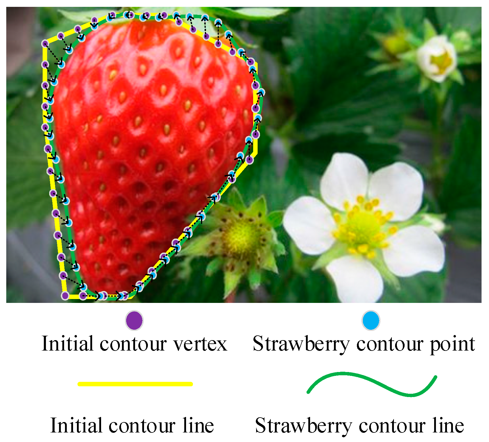 Electronics 13 03103 g005