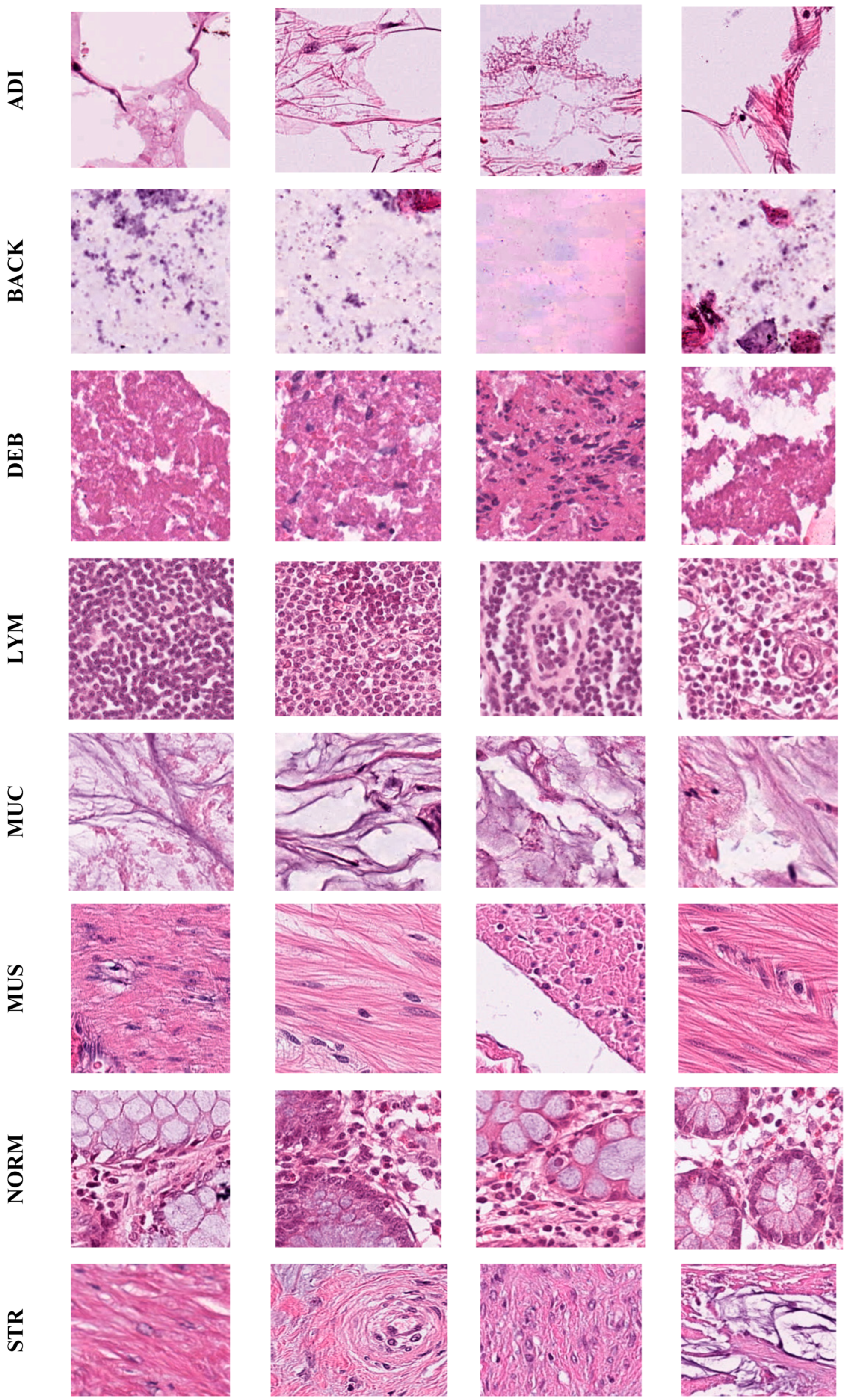 Electronics 13 03126 g002a