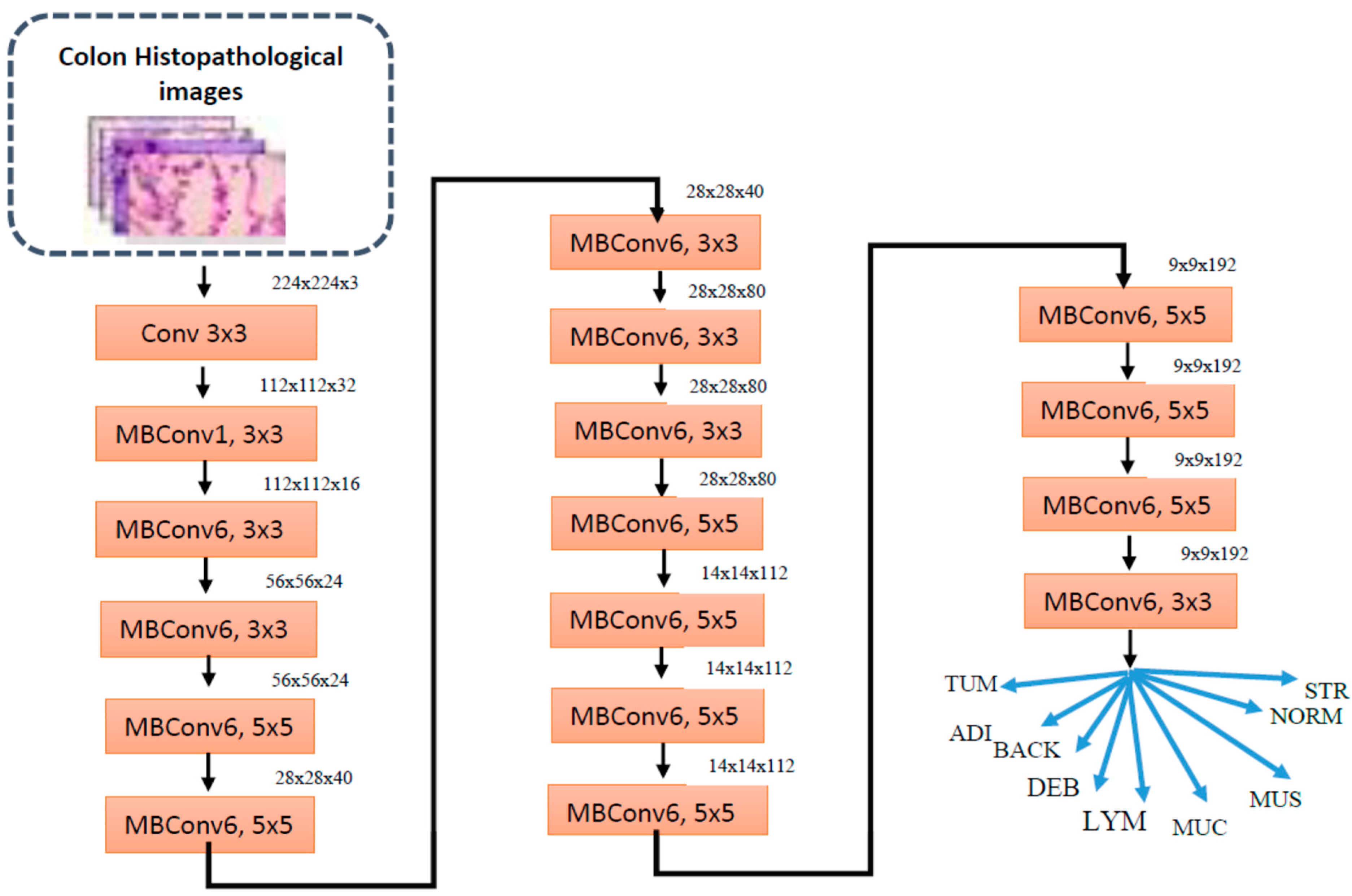 Electronics 13 03126 g004