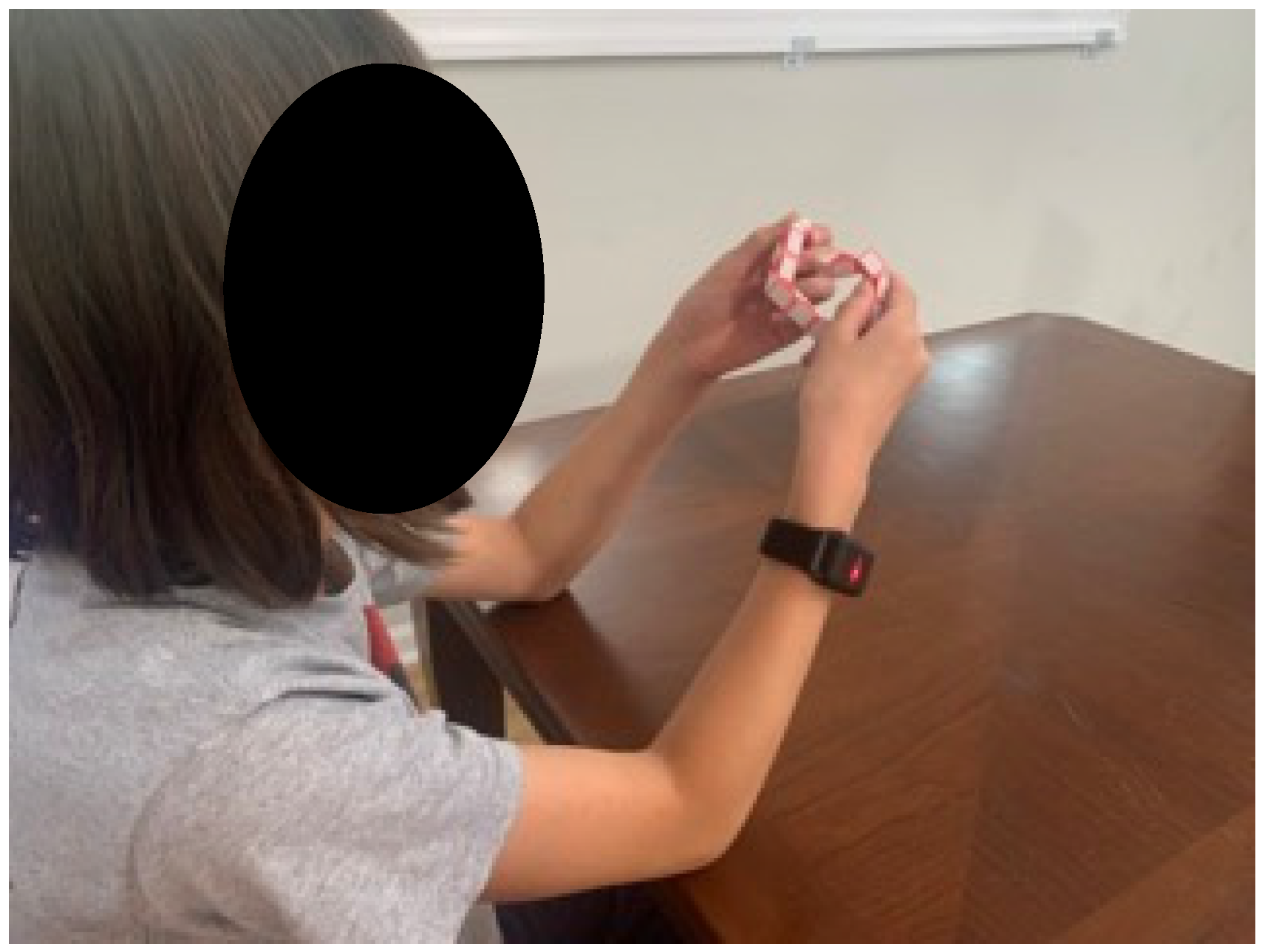 Electronics 13 03147 g001