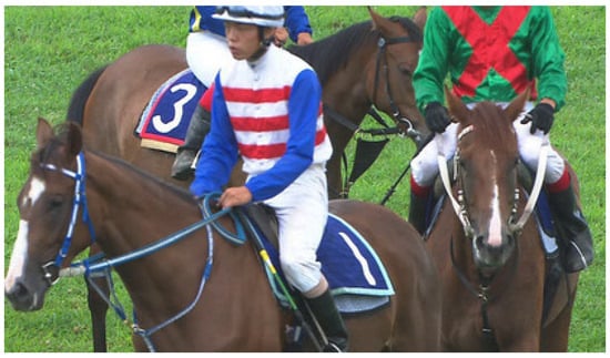 Electronics 13 03341 g0a10