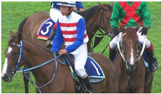 Electronics 13 03341 g0a14