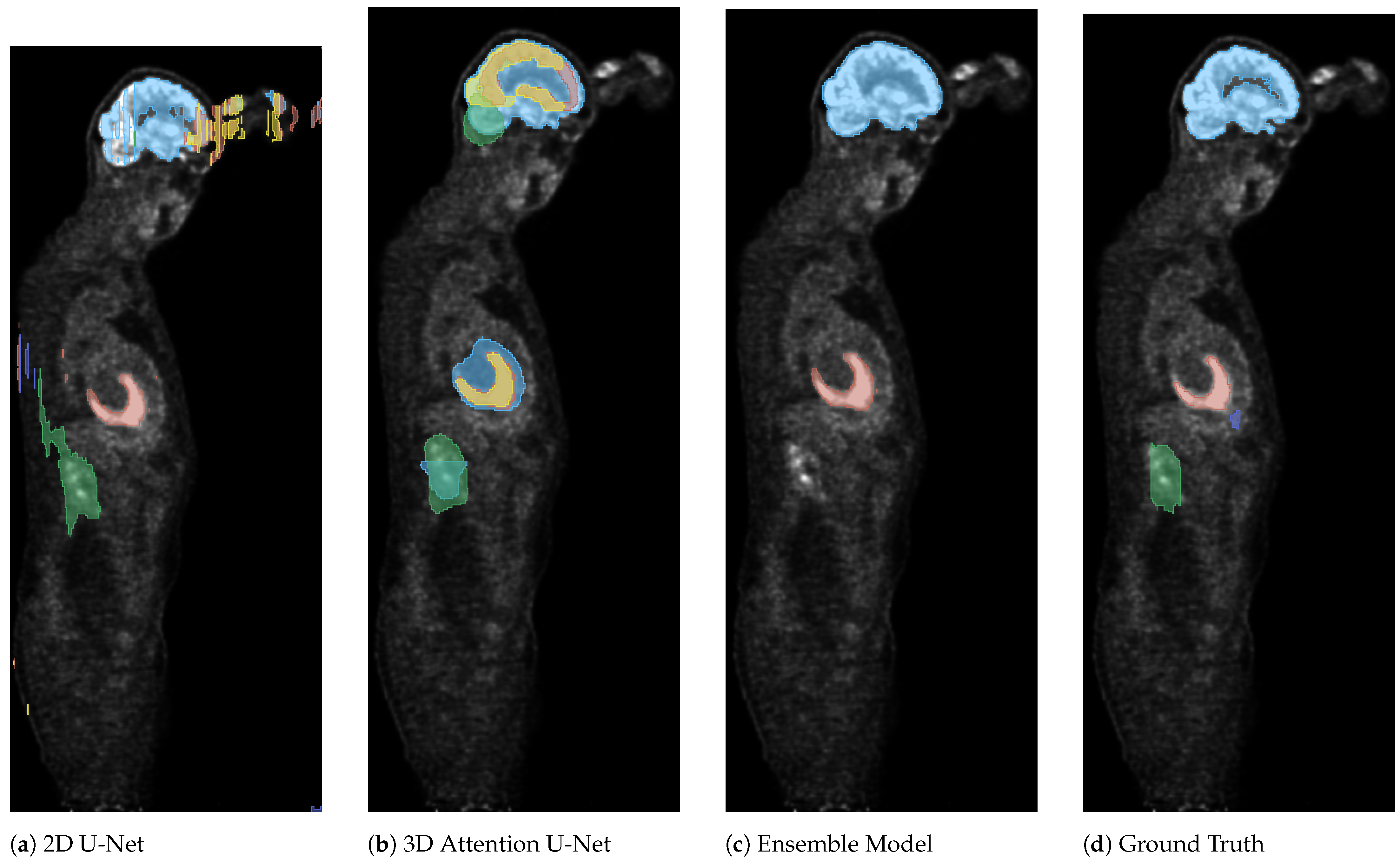 Electronics 13 03526 g005
