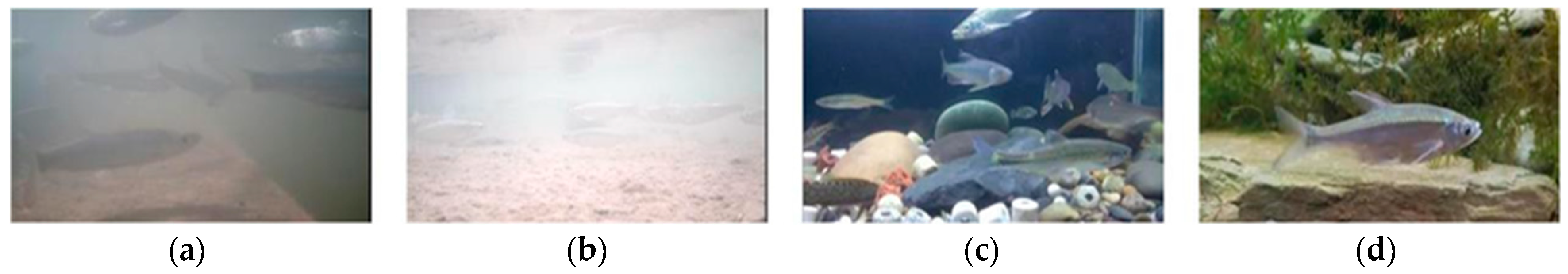 Electronics 13 03547 g008