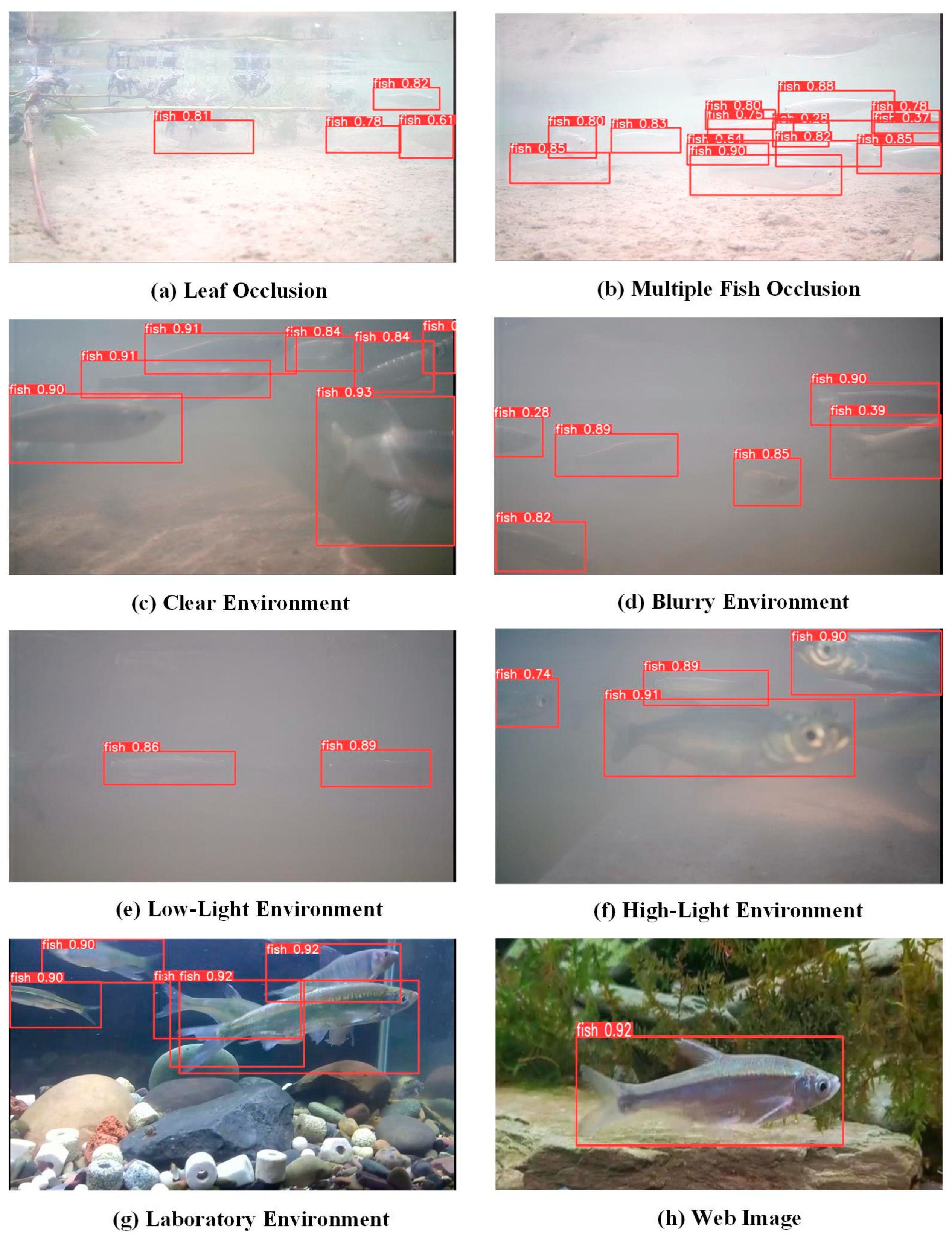 Electronics 13 03547 g010