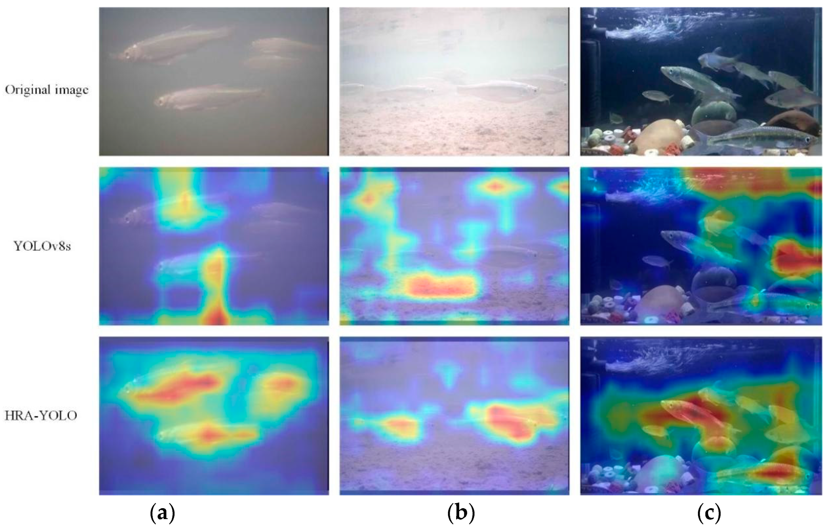 Electronics 13 03547 g011