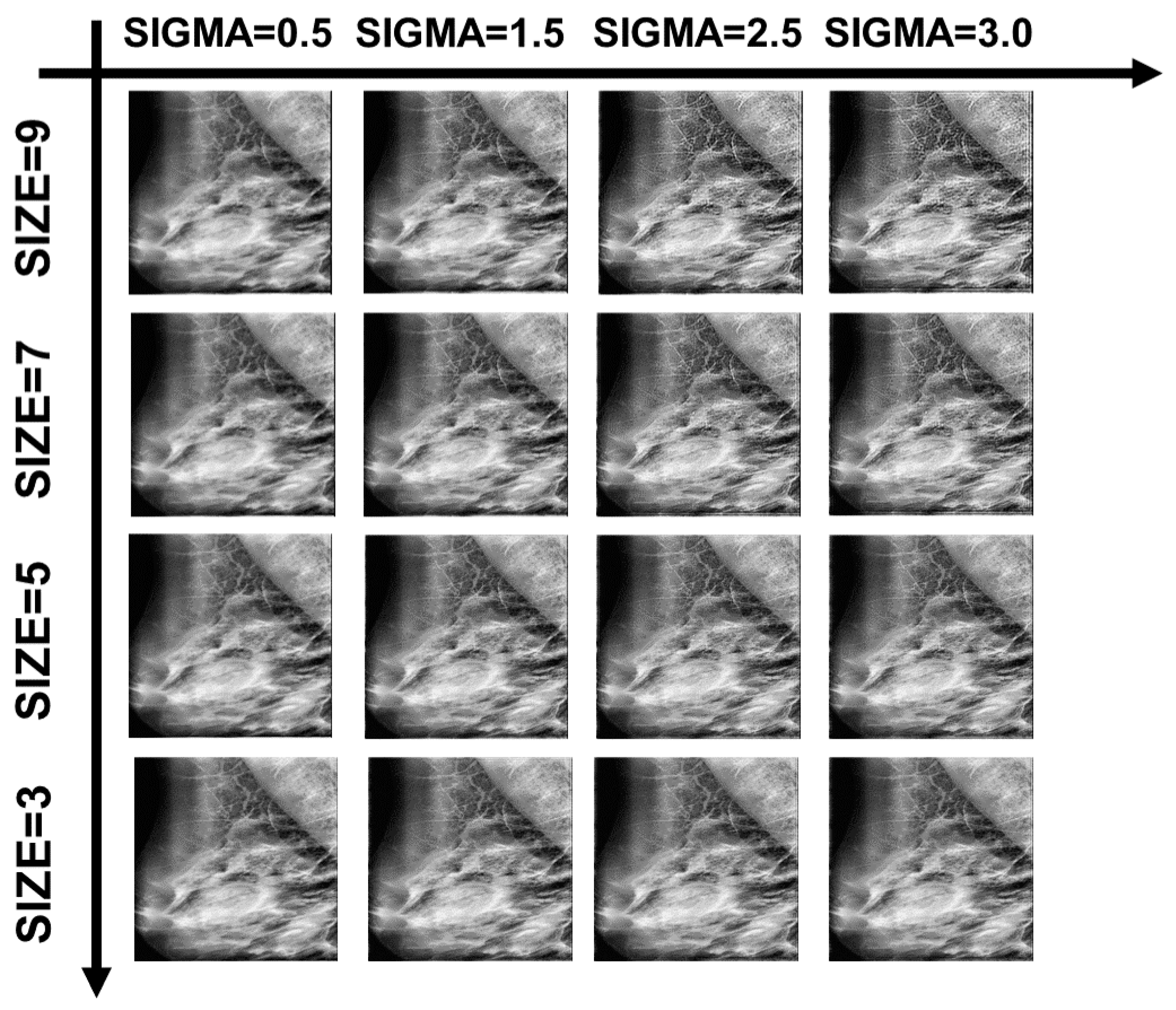 Electronics 13 03575 g021